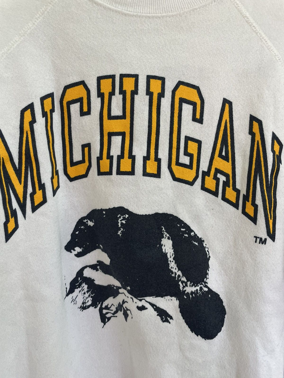 Vintage Vintage 80s Michigan Sweatshirt Size US L / EU 52-54 / 3 - 4 Thumbnail