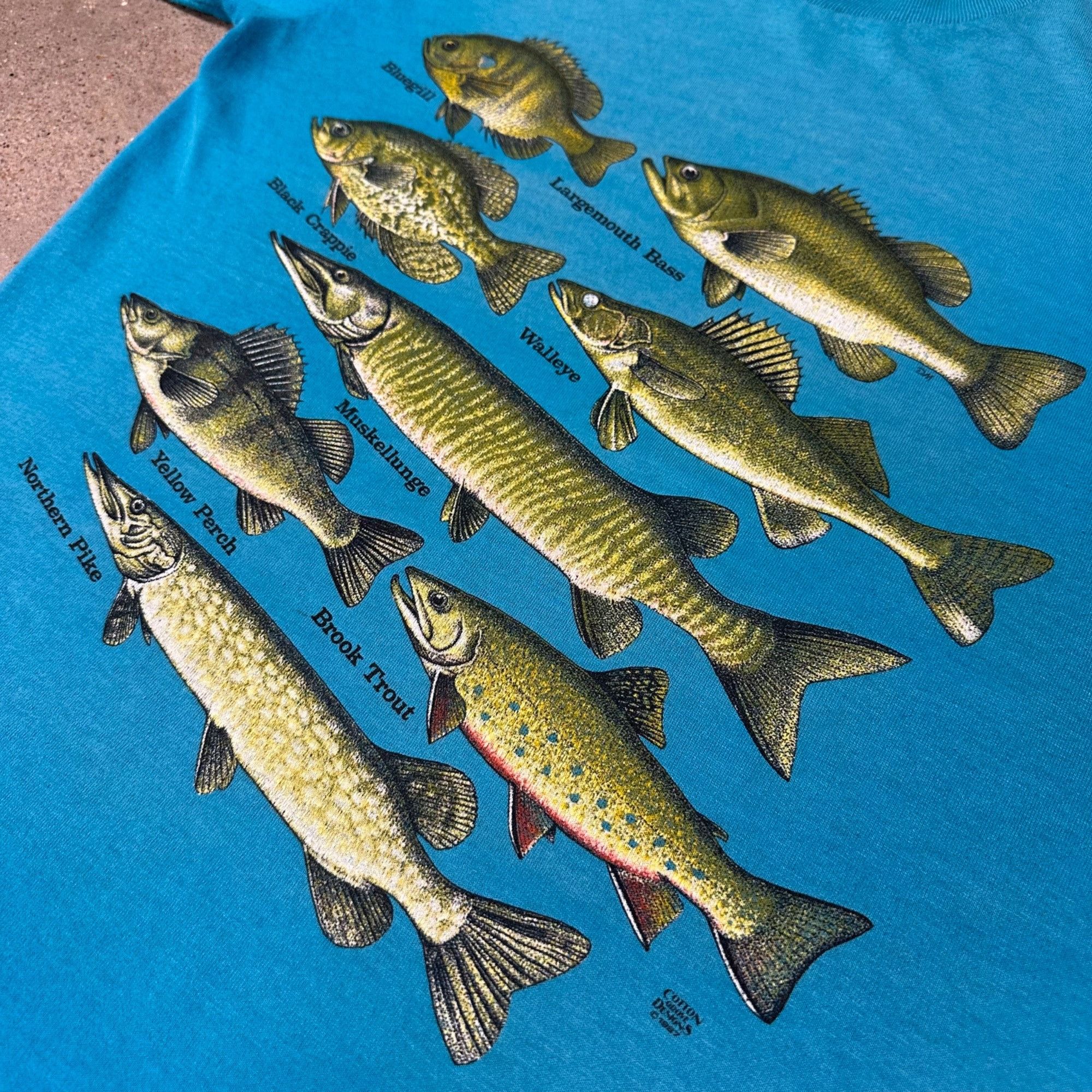 Vintage Vintage 1987 Fish Species Shirt Size US M / EU 48-50 / 2 - 2 Thumbnail