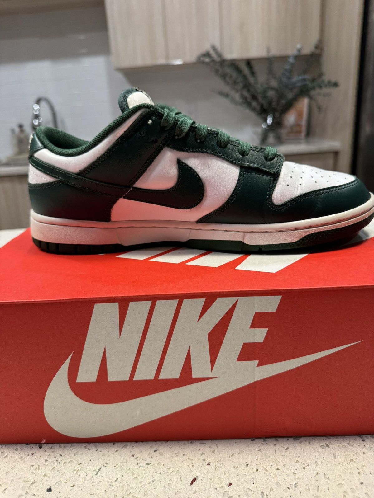 Nike Nike Dunk Low Retro “Michigan” Size US 9.5 / EU 42-43 - 10 Thumbnail