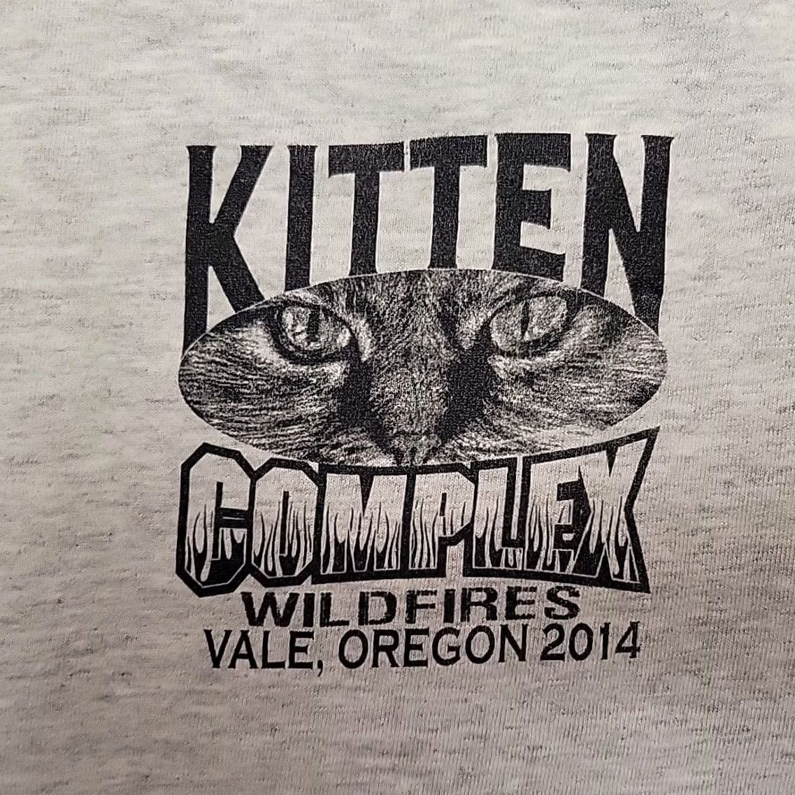 Vintage Wildland Firefighter Shirt Men M 2014 Kitten Complex Juniper Stemler Vale Oregon Size US M / EU 48-50 / 2 - 3 Thumbnail