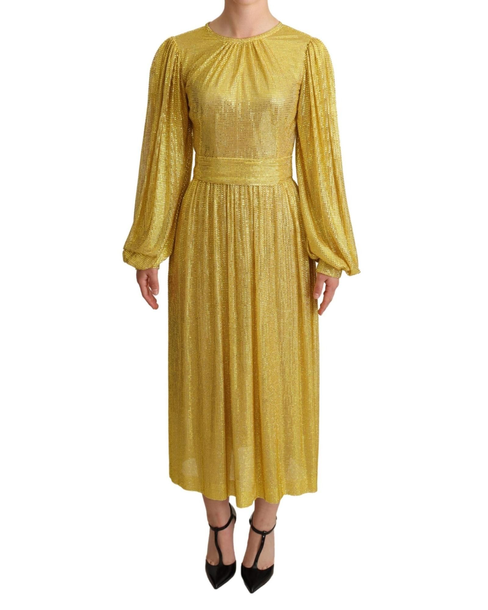 image of Dolce Gabbana Gorgeous Crystal Mesh Pleated Maxi Dress in Yellow, Women's (Size XS)