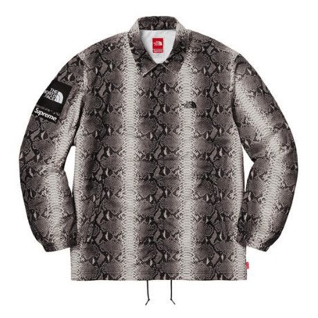 Supreme × The North Face SEALED Snakeskin Print Coach's Jacket SS18 DS Size US M / EU 48-50 / 2 - 1 Preview