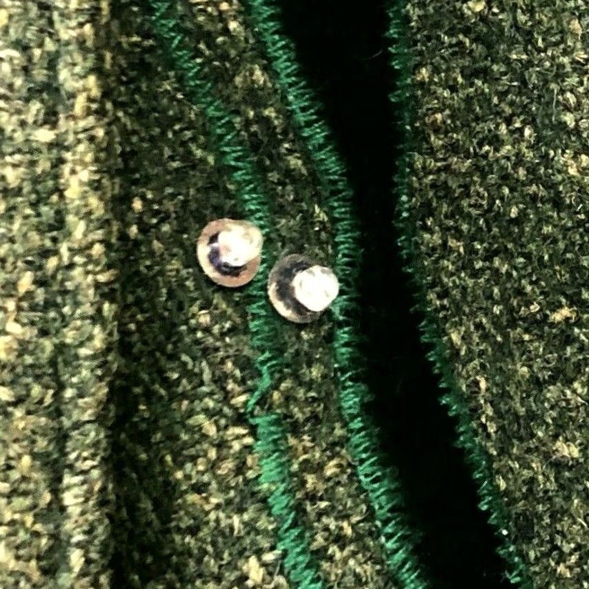 Vintage Chinese Blazer Jacket Uk 12 (large) In Green Ladies Work Office Rare Size XL / US 12-14 / IT 48-50 - 6 Thumbnail