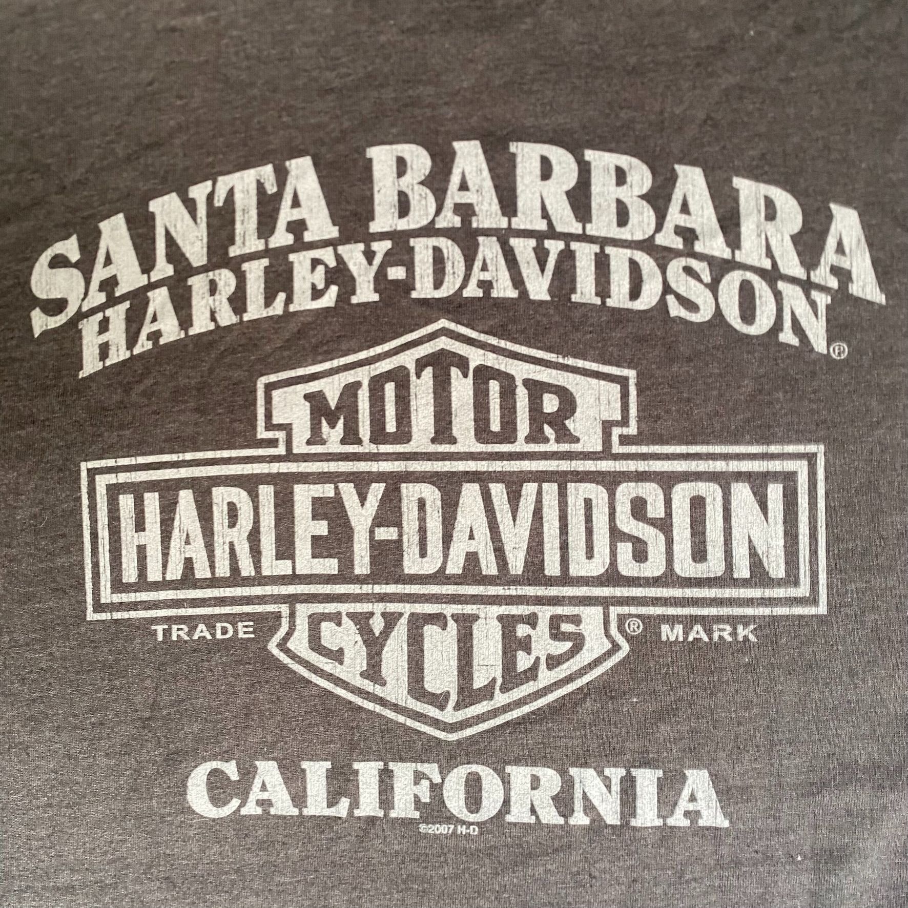 Harley Davidson Harley Davidson Flame Tee Vintage Y2K Moto Biker Logo Shirt Size US L / EU 52-54 / 3 - 7 Thumbnail