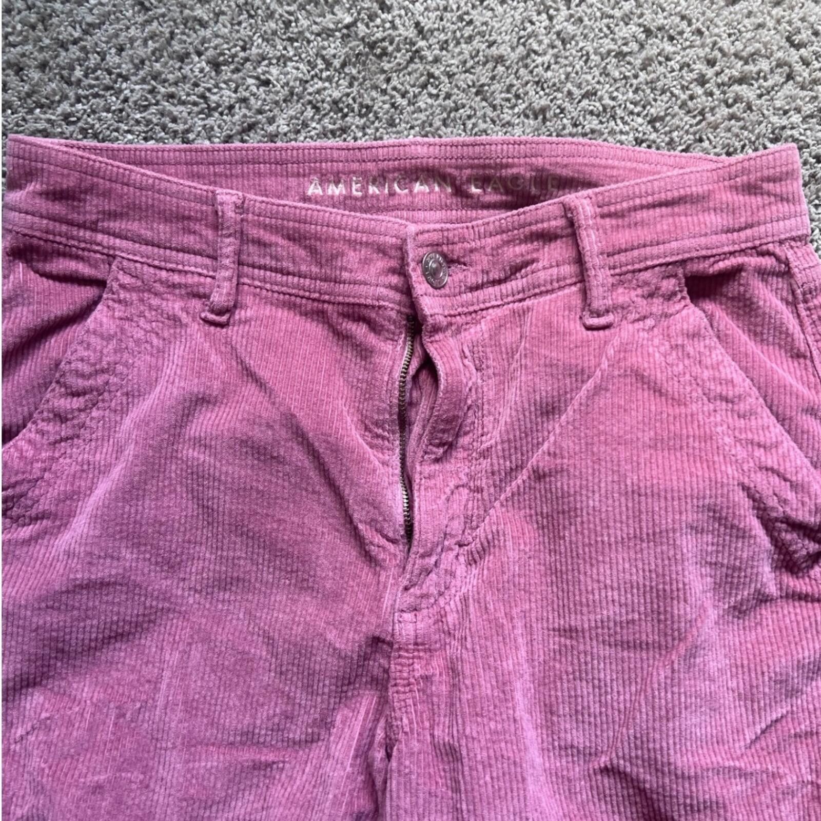 American Eagle Outfitters American Eagle Cargo Pants Womens 6 Pink Corduroy Wide Leg Size 28" / US 6 / IT 42 - 5 Thumbnail