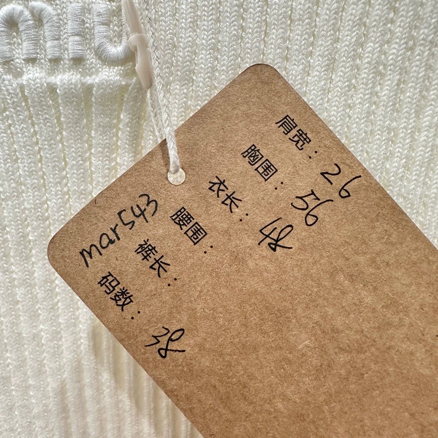 Miu Miu MIU MIU 24FW women's logo ribbed wool vest 38 Size XS / US 0-2 / IT 36-38 - 5 Thumbnail