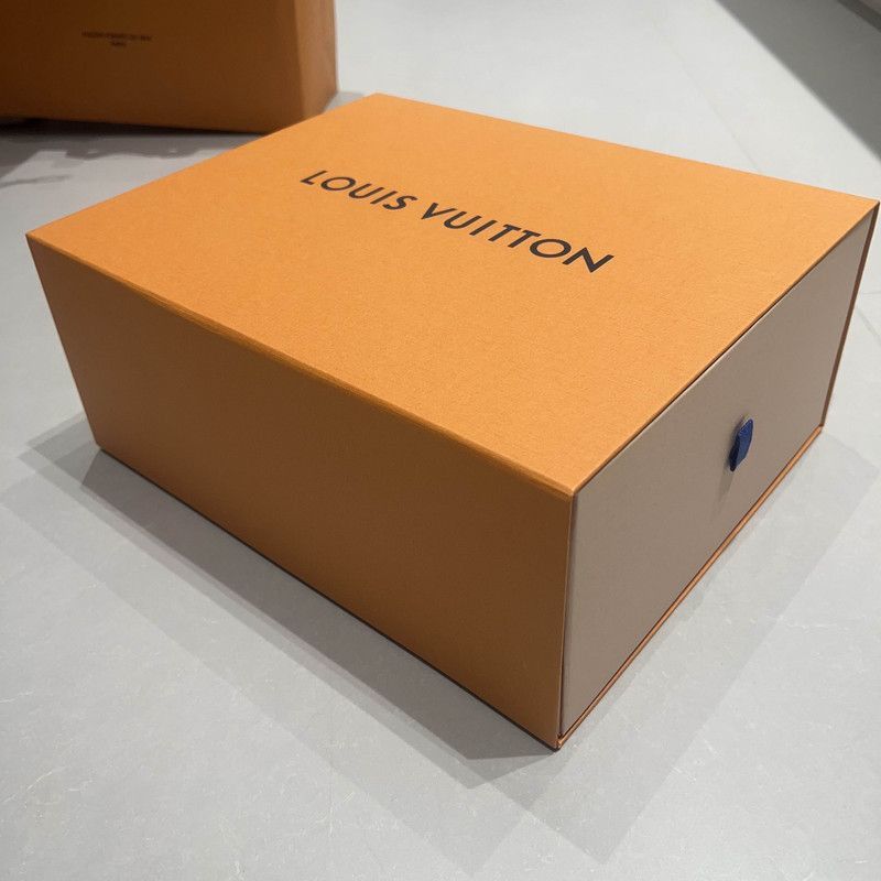 Louis Vuitton Louis Vuitton Trainer Maxi Low-Top Sneakers -2508 Size US 8.5 / EU 41-42 - 6 Thumbnail