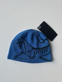 Arc Teryx Bird Head Toque | Grailed