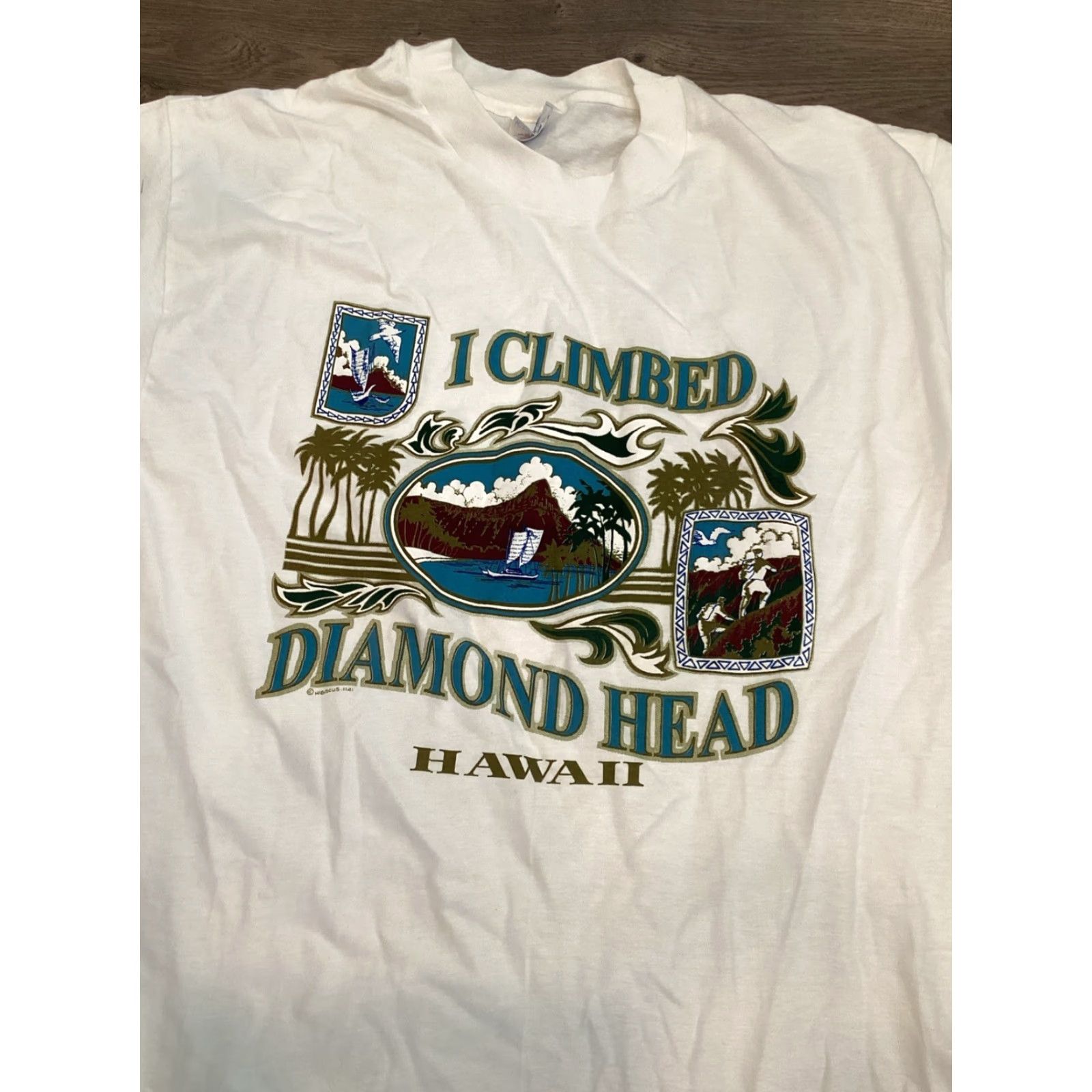 Vintage Beefy-T I Climbed Diamond Head T-Shirt L White Nature Surf Grunge Mens Size US L / EU 52-54 / 3 - 2 Thumbnail