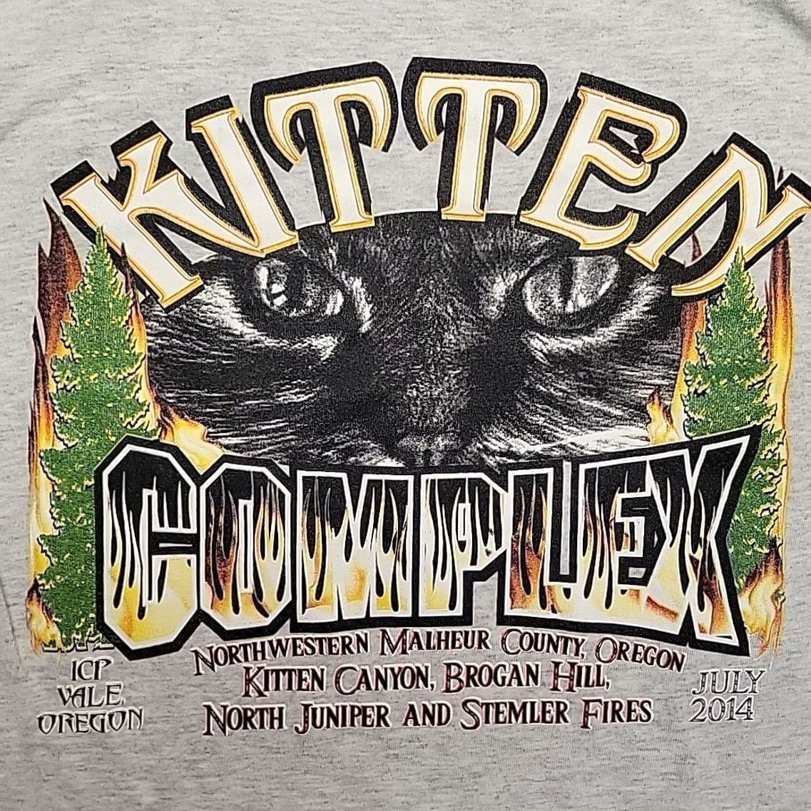 Vintage Wildland Firefighter Shirt Men M 2014 Kitten Complex Juniper Stemler Vale Oregon Size US M / EU 48-50 / 2 - 6 Thumbnail