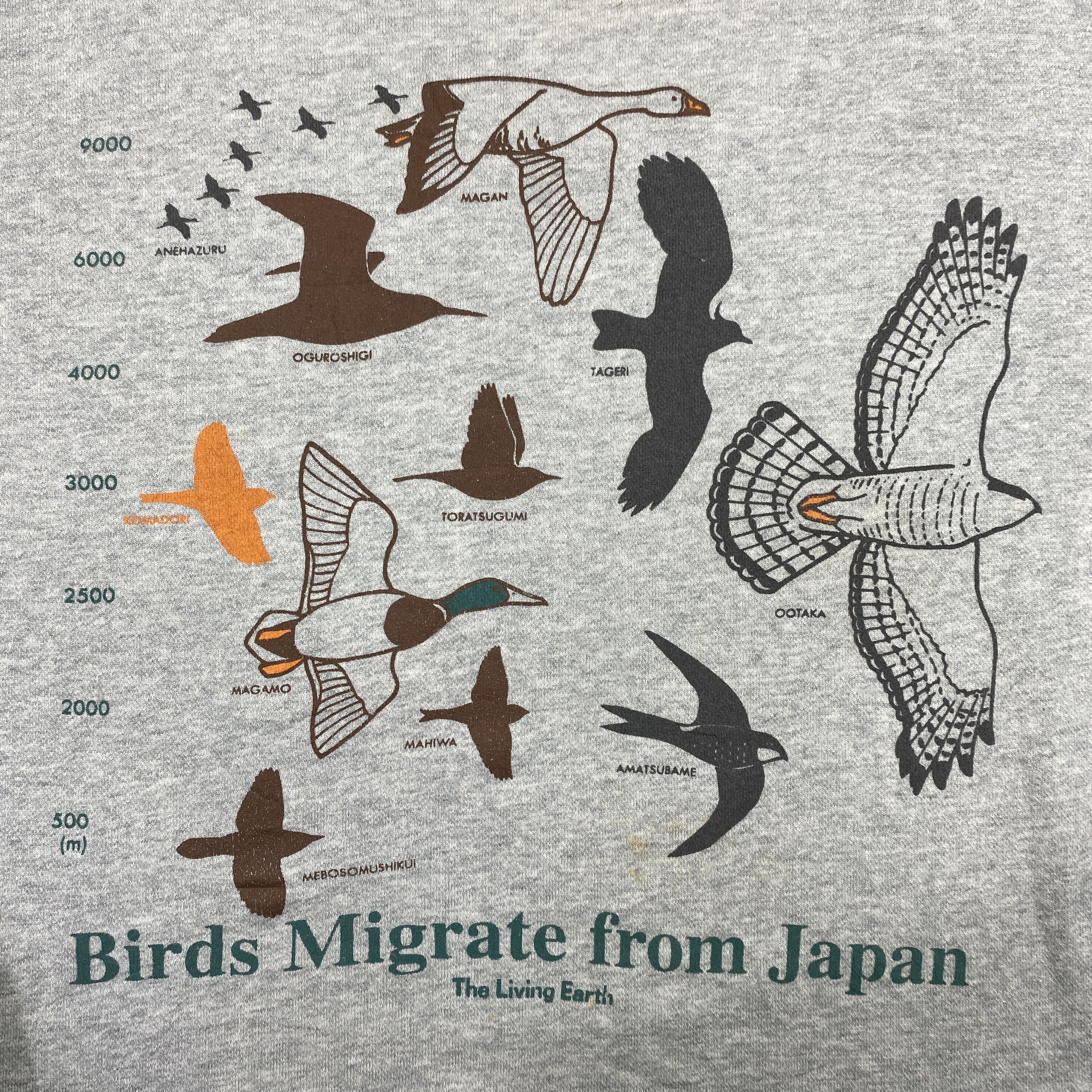 Japanese Brand Vintage The Living Earth Sweatshirt Dirty - SW0134 Size US L / EU 52-54 / 3 - 5 Thumbnail