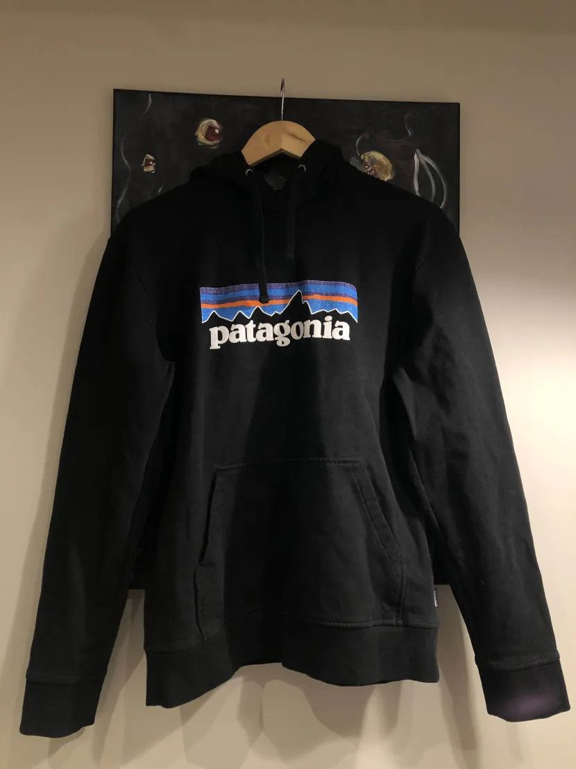 Patagonia Patagonia Hoodie Basic Big Logo Hype Streetwear Hiking Size US M / EU 48-50 / 2 - 1 Thumbnail