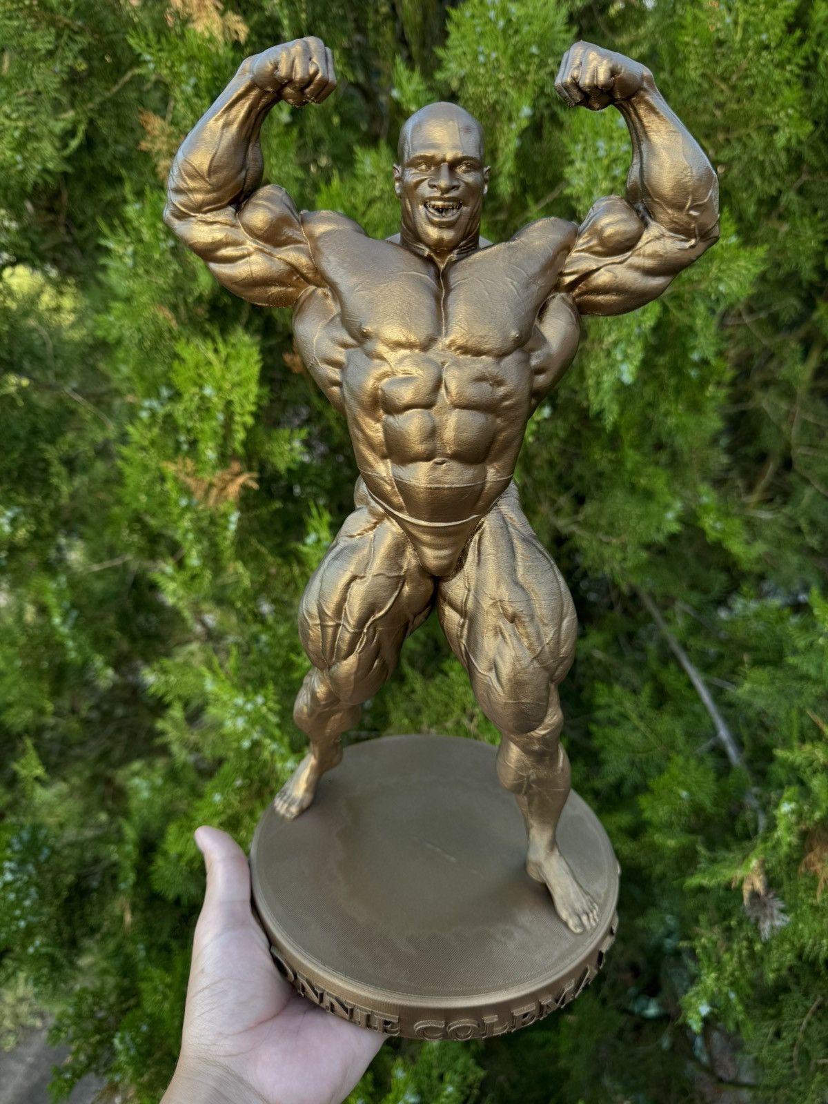 Other Gym statue Ronnie Coleman Mr Olympia 37cm Size ONE SIZE - 7 Thumbnail
