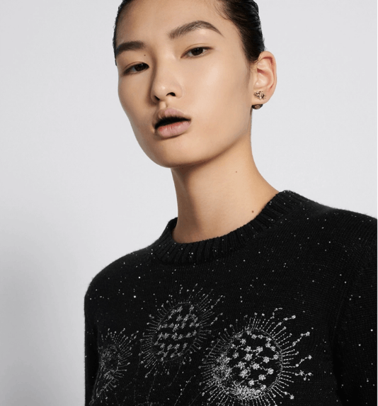 Dior o1w1db10725 424S57 Embroidered Sweater in Black Size XL / US 12-14 / IT 48-50 - 6 Thumbnail