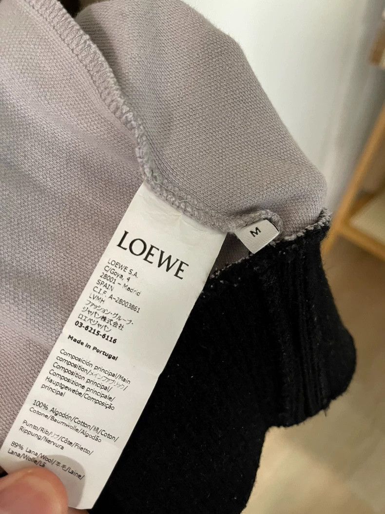 LOEWE Colorful hoodie