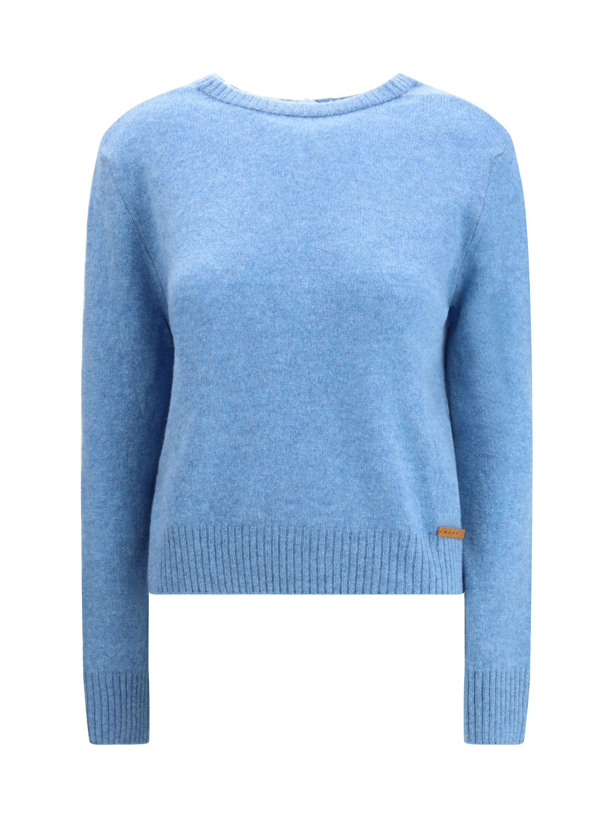 Long-sleeved crewneck Sweater