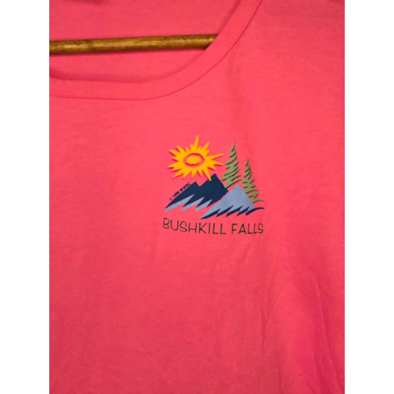 Anvil × Vintage Vintage Bushkill Falls Pennsylvania Boat Neck L Pink Tee Size L / US 10 / IT 46 - 2 Thumbnail