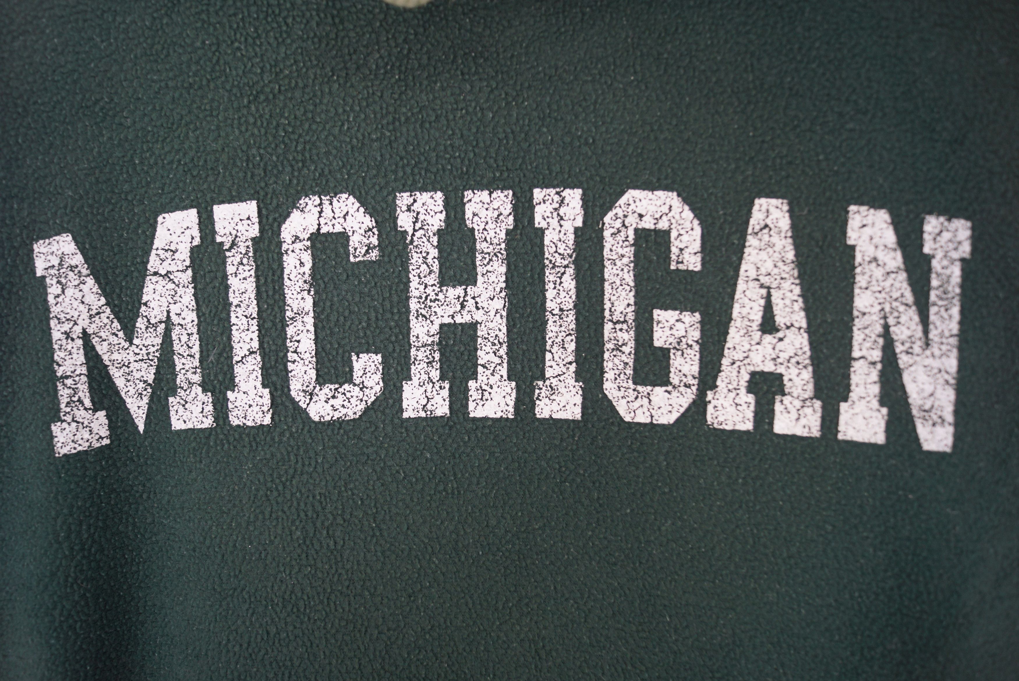 Japanese Brand × Vintage Vintage Hoodie Finway Michigan Spell Out Size US L / EU 52-54 / 3 - 2 Thumbnail