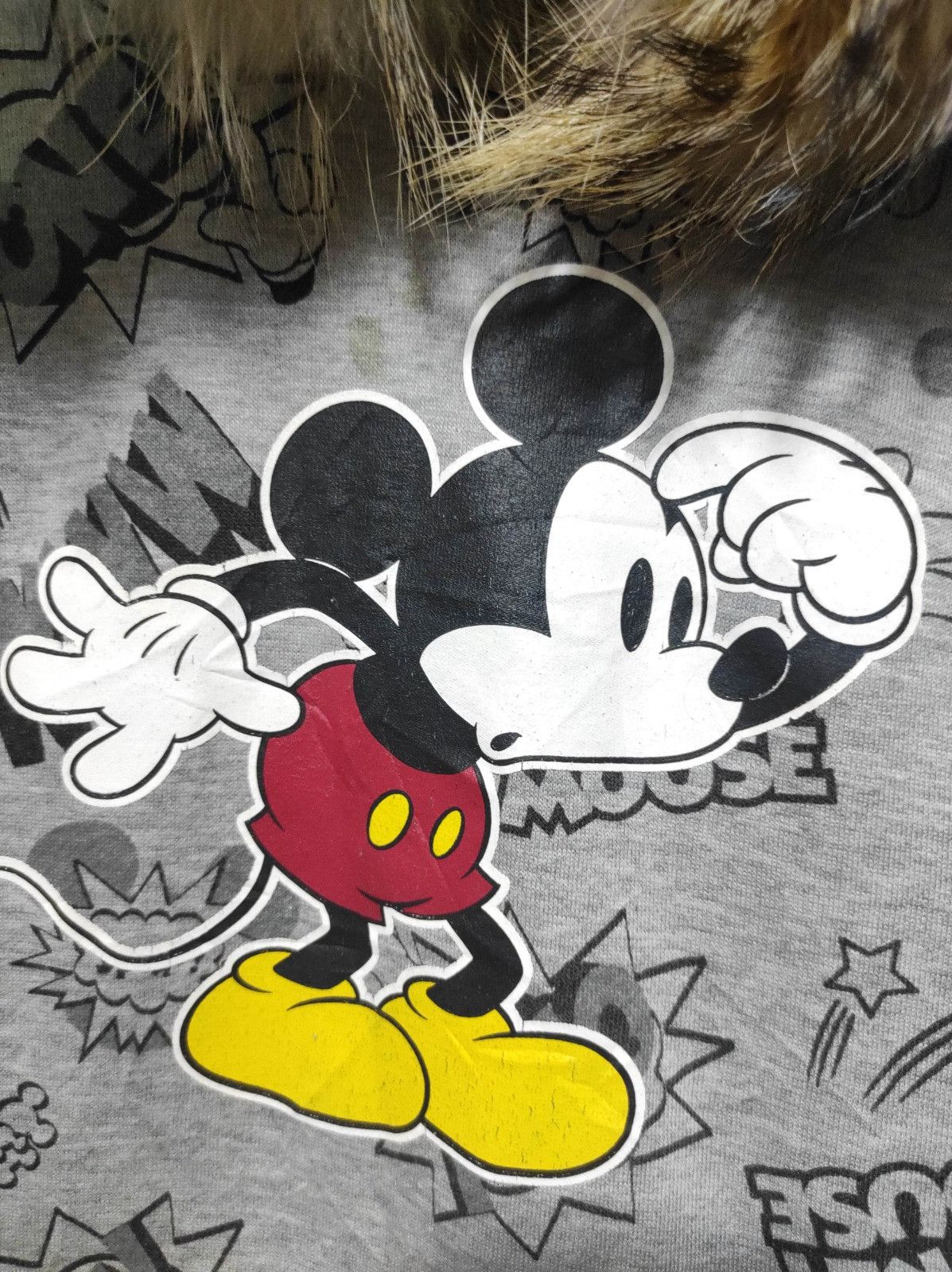 Disney Disney fullprint fur hoodie ifsix LGB style Size US S / EU 44-46 / 1 - 4 Thumbnail