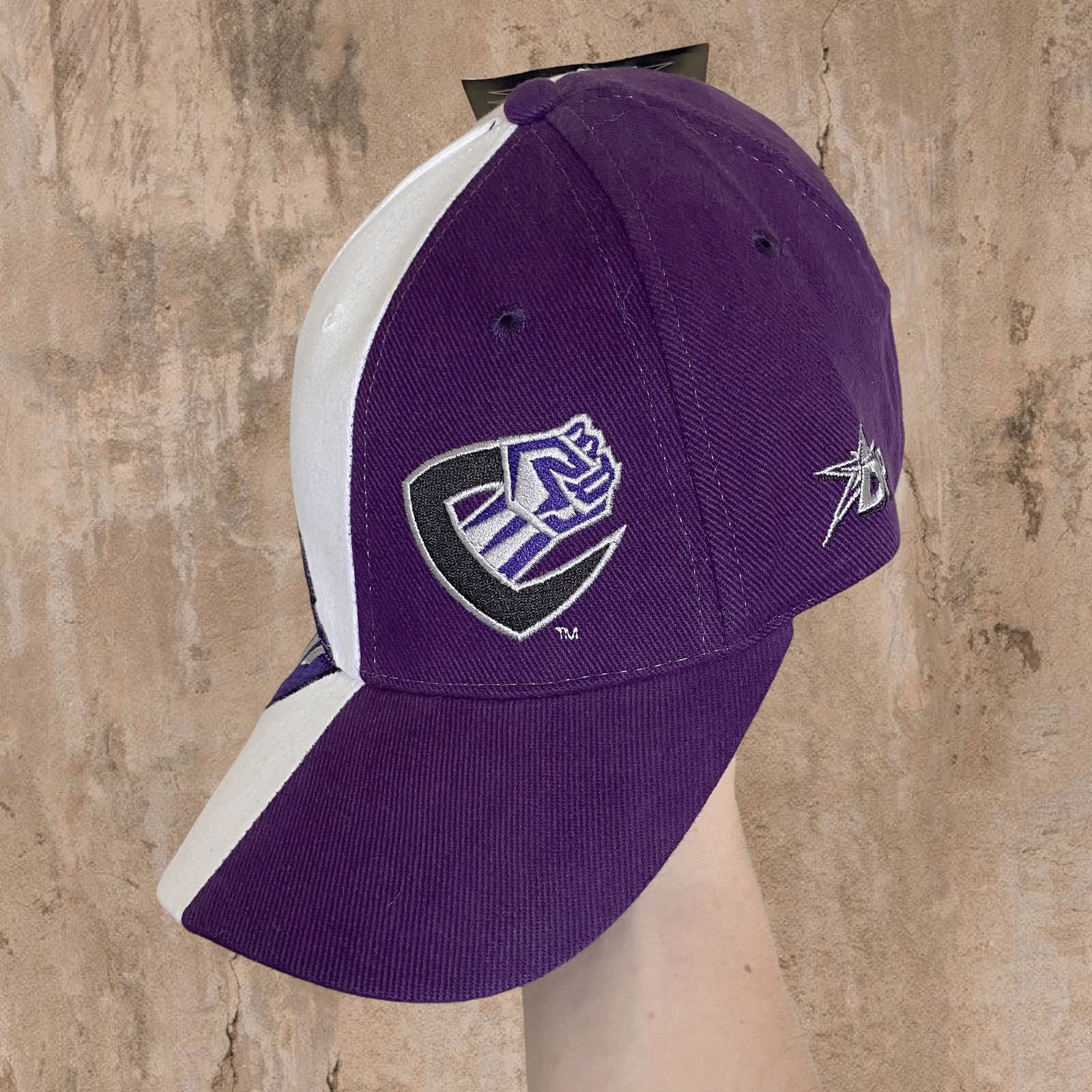Vintage Vintage Y2K Chicago Enforcers XFL Hat OSFA Drew Pearson Size ONE SIZE - 2 Thumbnail