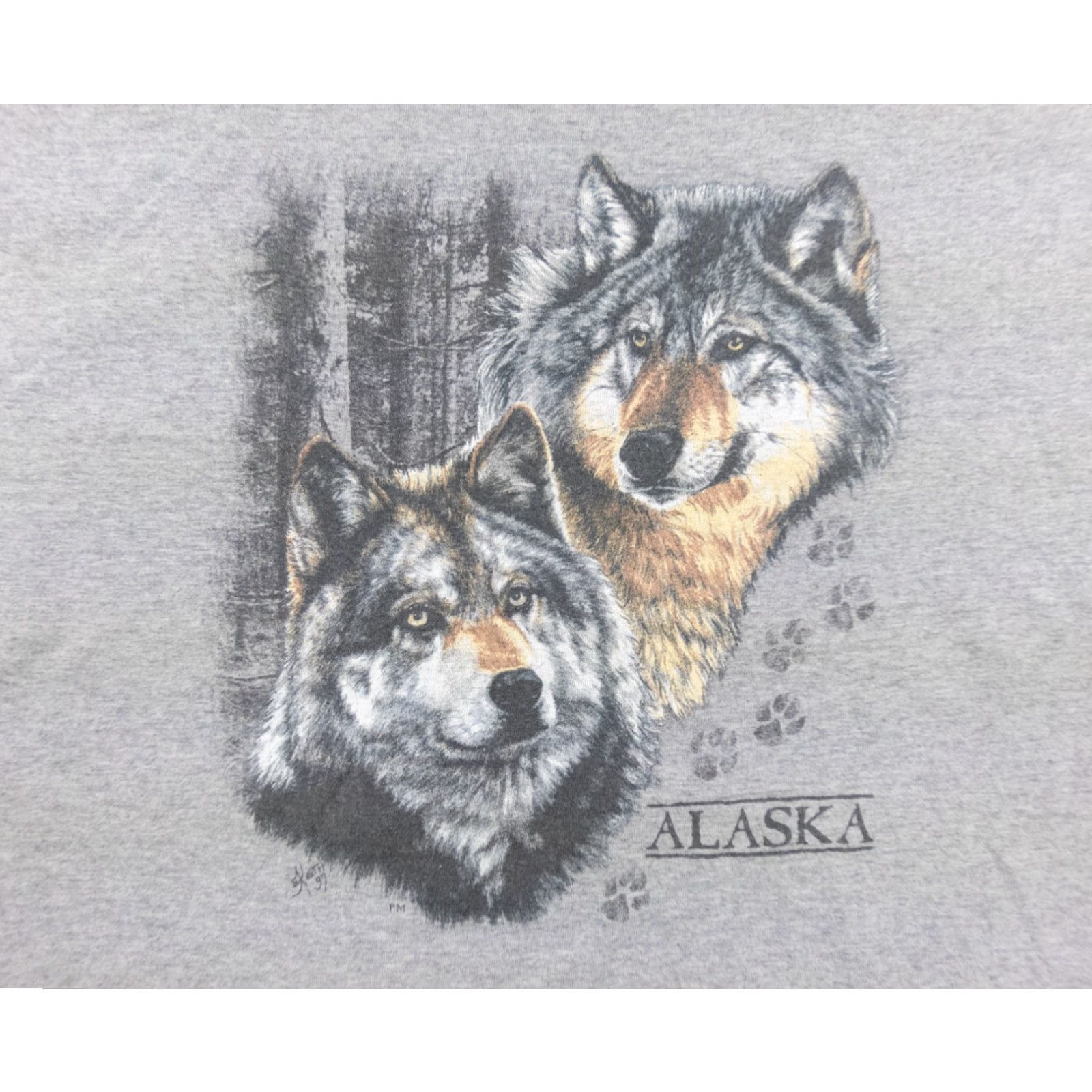 Vintage VINTAGE Prairie Mountain T-Shirt Adult XL Gray Wolves 90s Short Sleeve Crew Neck Mens Ballparking: nature, animal, 1990s Size US XL / EU 56 / 4 - 2 Thumbnail
