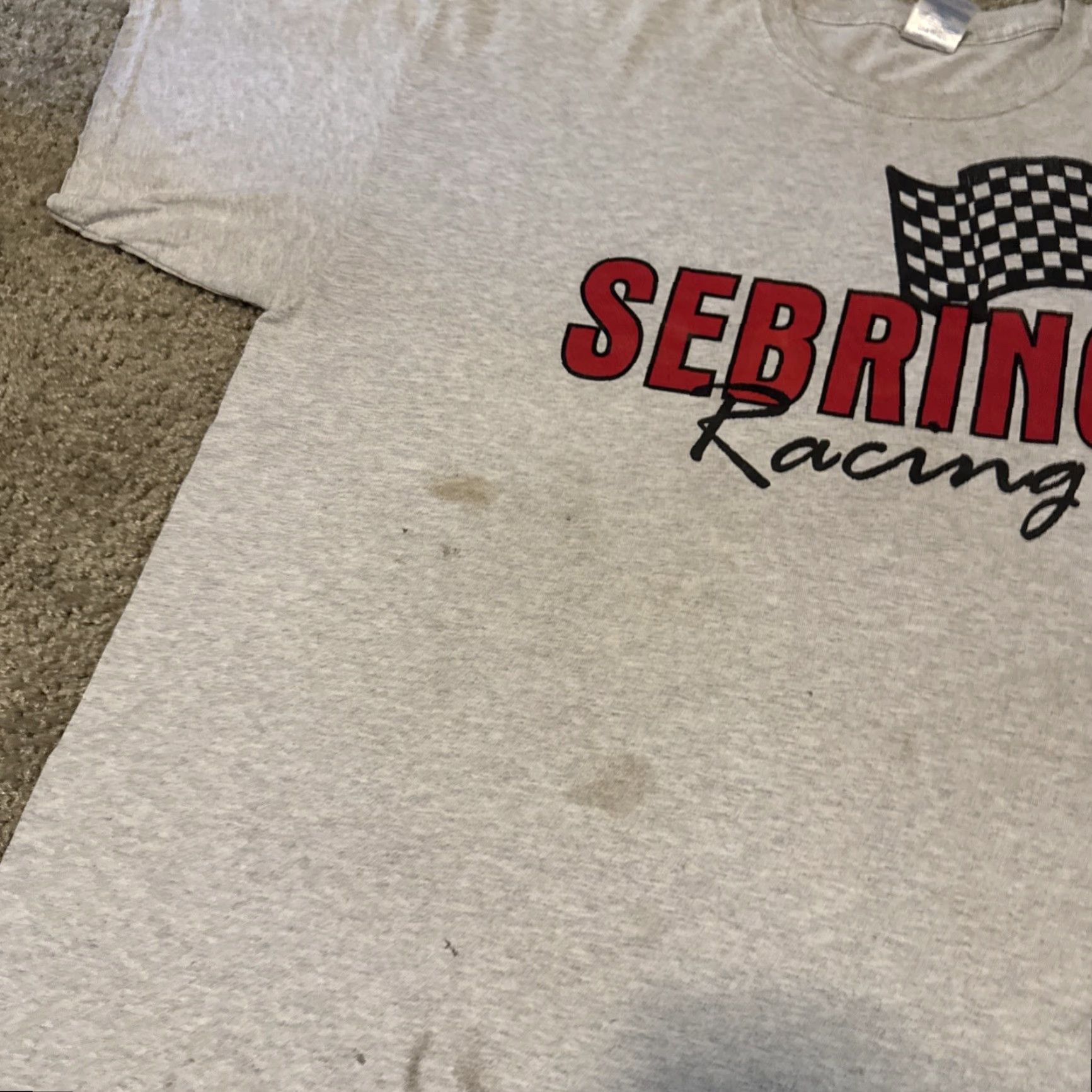 Gildan VINTAGE Sebring Racing Team Florida Grey Red T-Shirt 2XL Mens Gildan Florida 90s Racing Mens Size US XXL / EU 58 / 5 - 4 Thumbnail