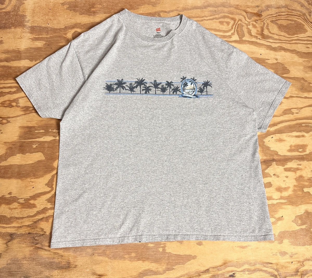 Hanes Vintage Y2K Era Big Dogs “Dept. of Relaxation” Tee Size US XL / EU 56 / 4 - 1 Thumbnail