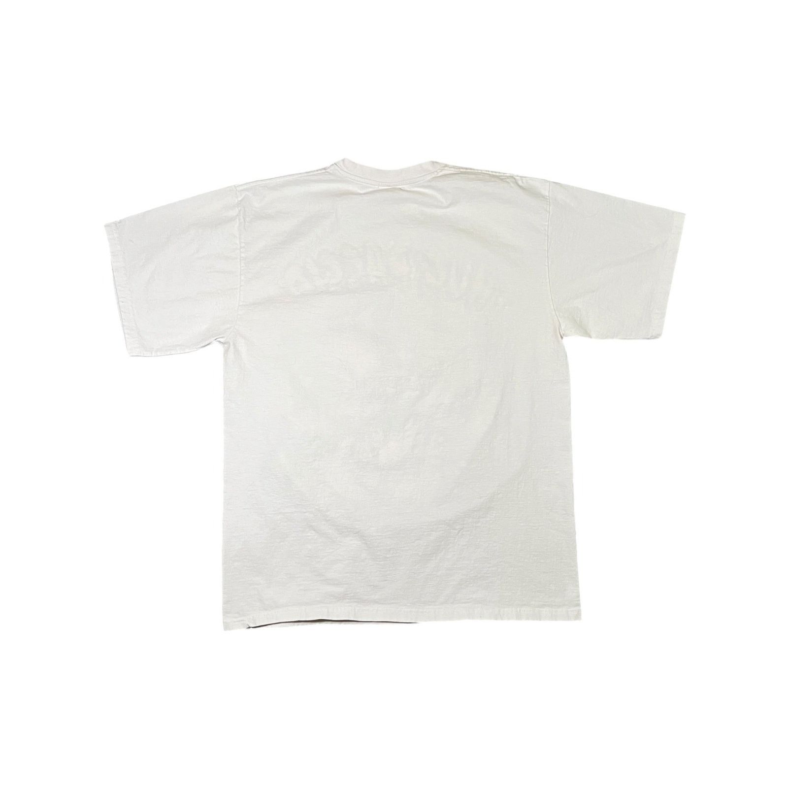 Rap Tees × Vintage Vintage Y2K Tupac Shakur Thug Passion 2pac rap tee (XL) Size US XL / EU 56 / 4 - 7 Thumbnail
