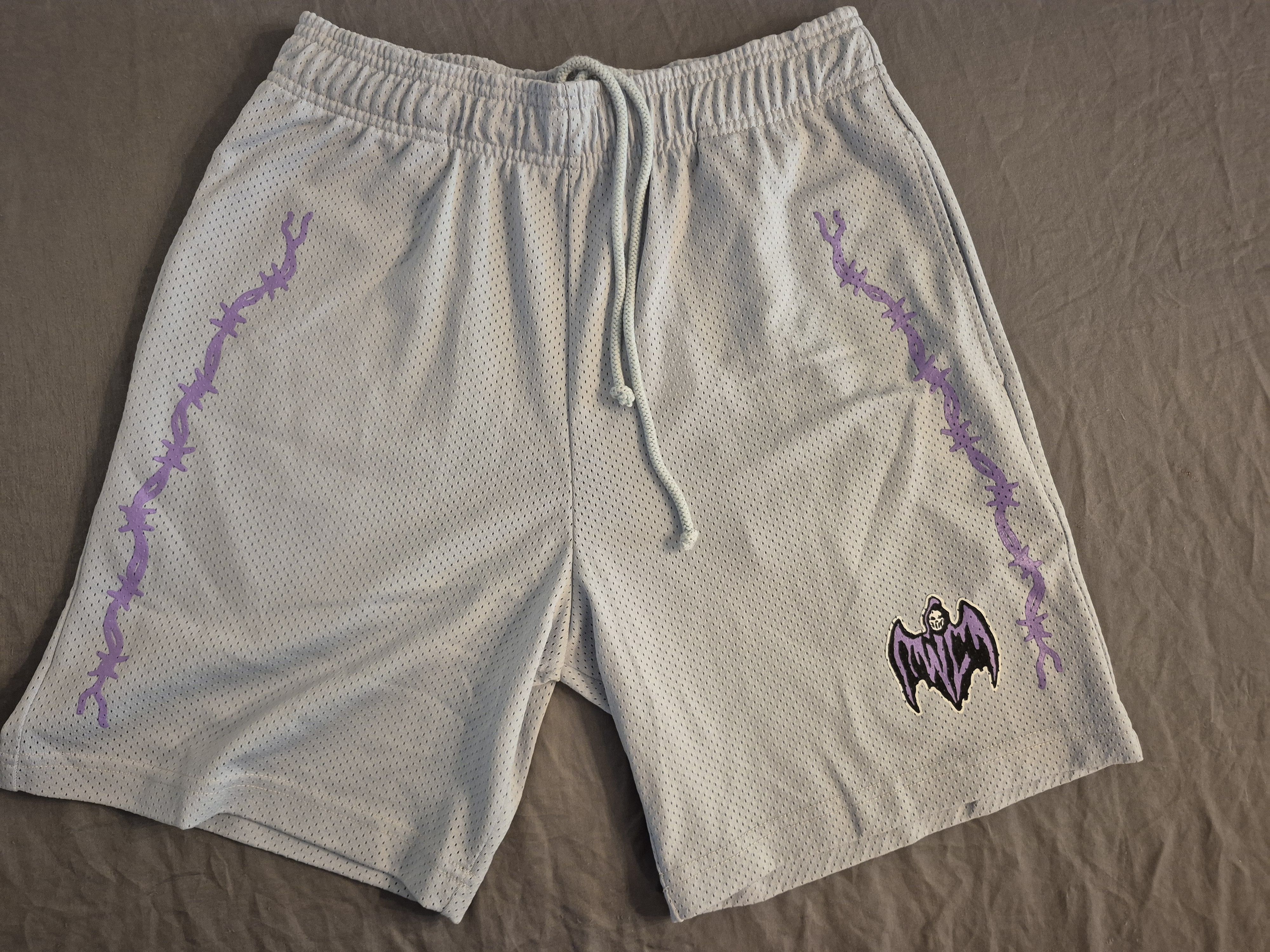 Warren Lotas Light Blue Mesh Shorts Size Small