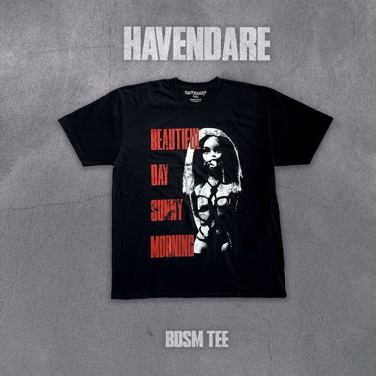Designer Y2K HAVENDARE BDSM BARBIE RARE BRAND NEW T SHIRT Size US M / EU 48-50 / 2 - 1 Thumbnail