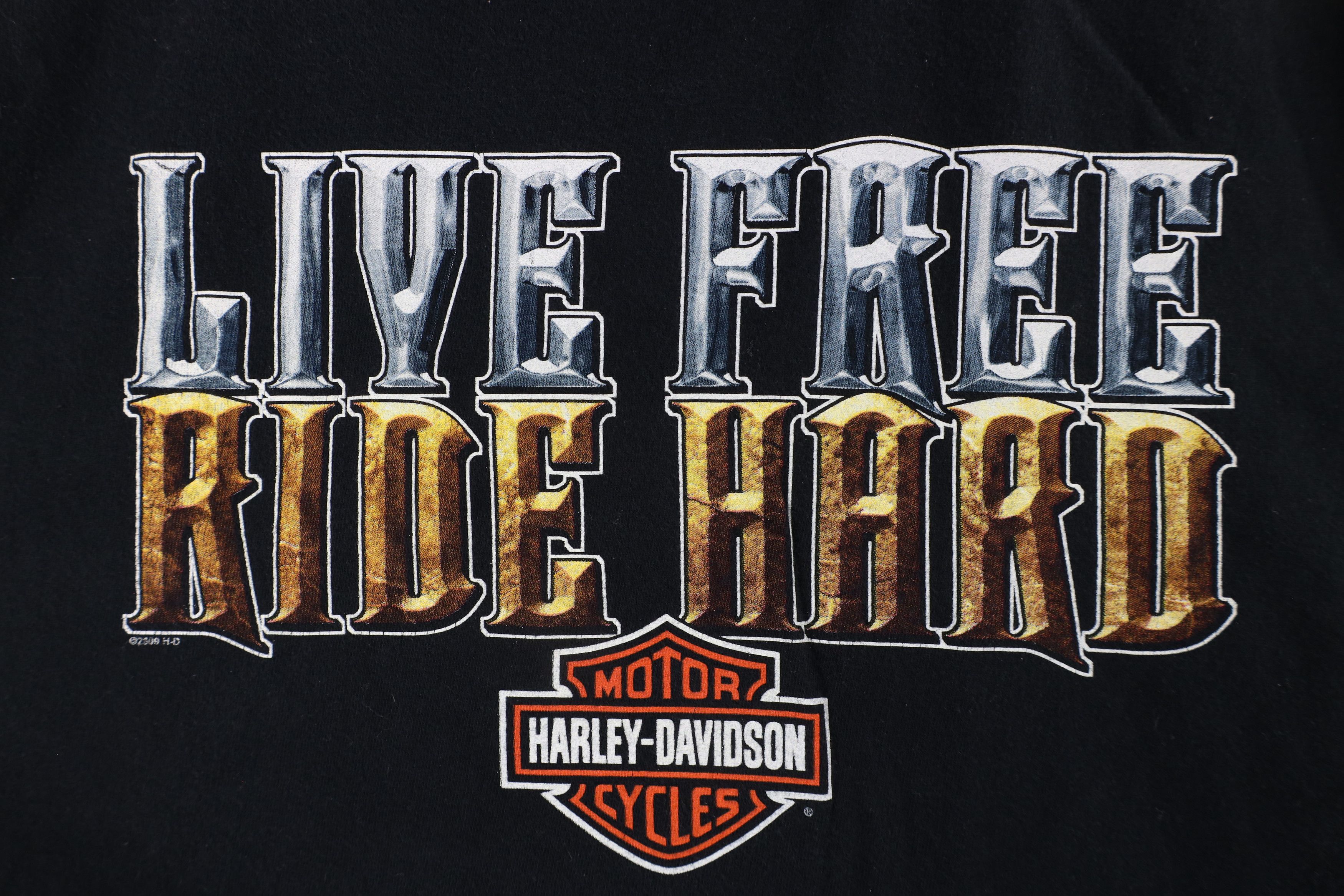 Harley Davidson × Vintage Vintage Y2K Harley Davidson Free Ride Hard Boston T-Shirt Size US L / EU 52-54 / 3 - 4 Thumbnail