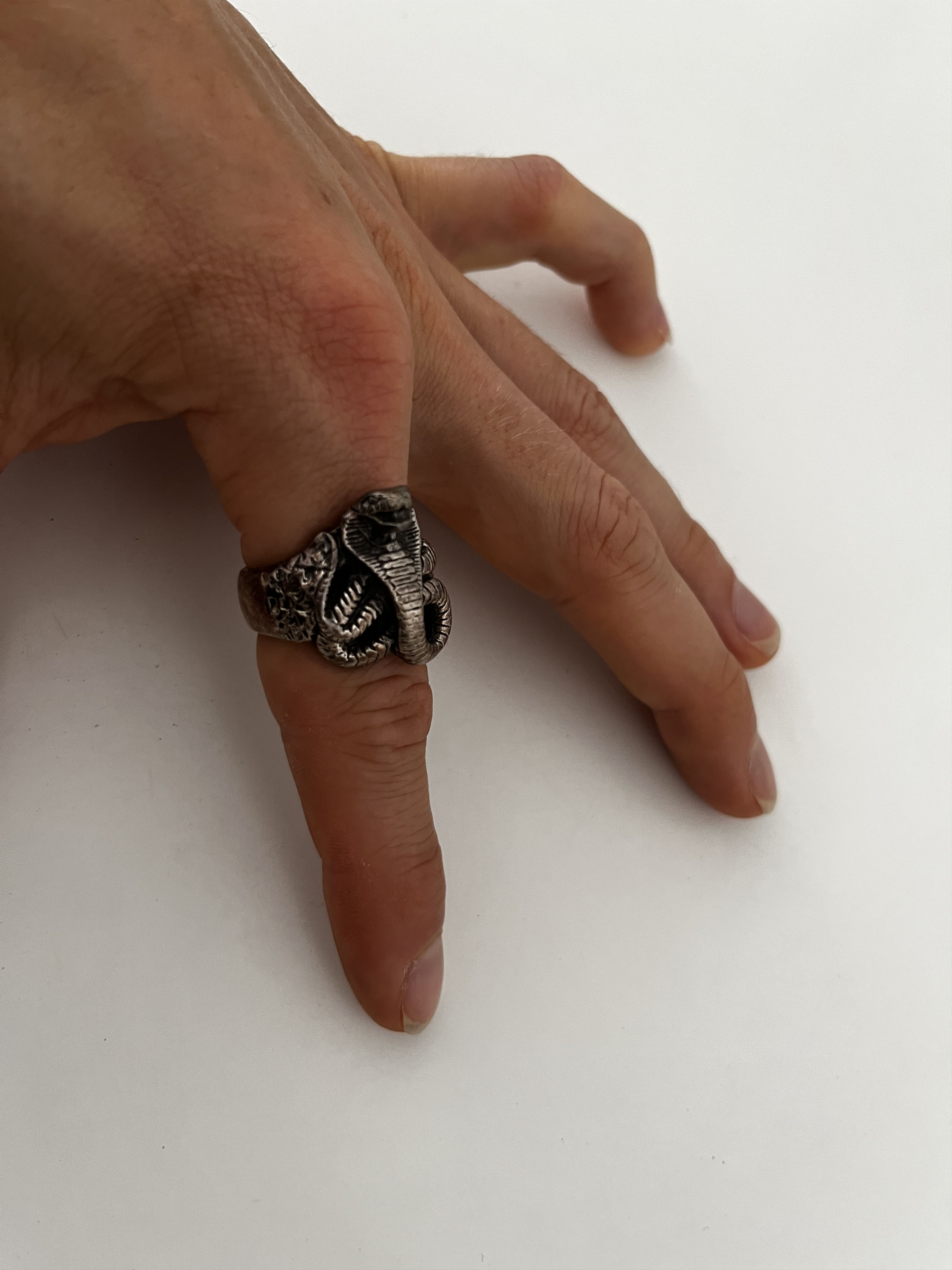 image of Cobra Ring - The Great Frog in Silver, Men's