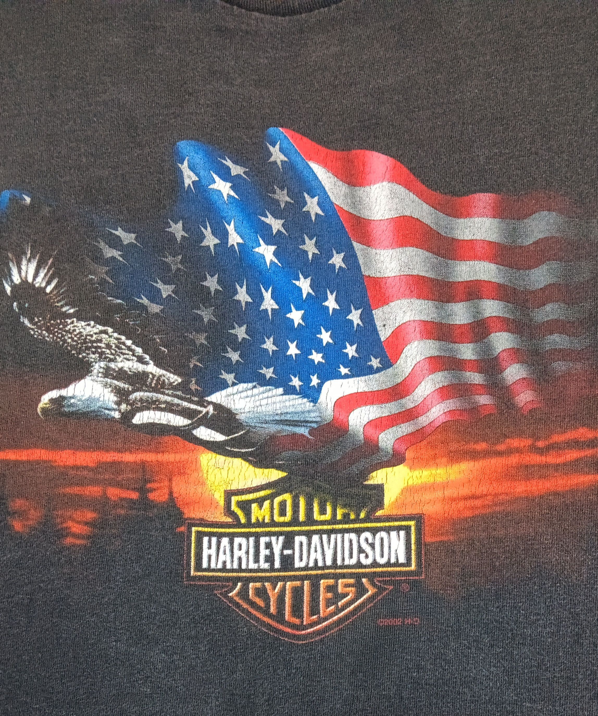Harley Davidson Vintage 2002 harley davidson Size US M / EU 48-50 / 2 - 3 Thumbnail