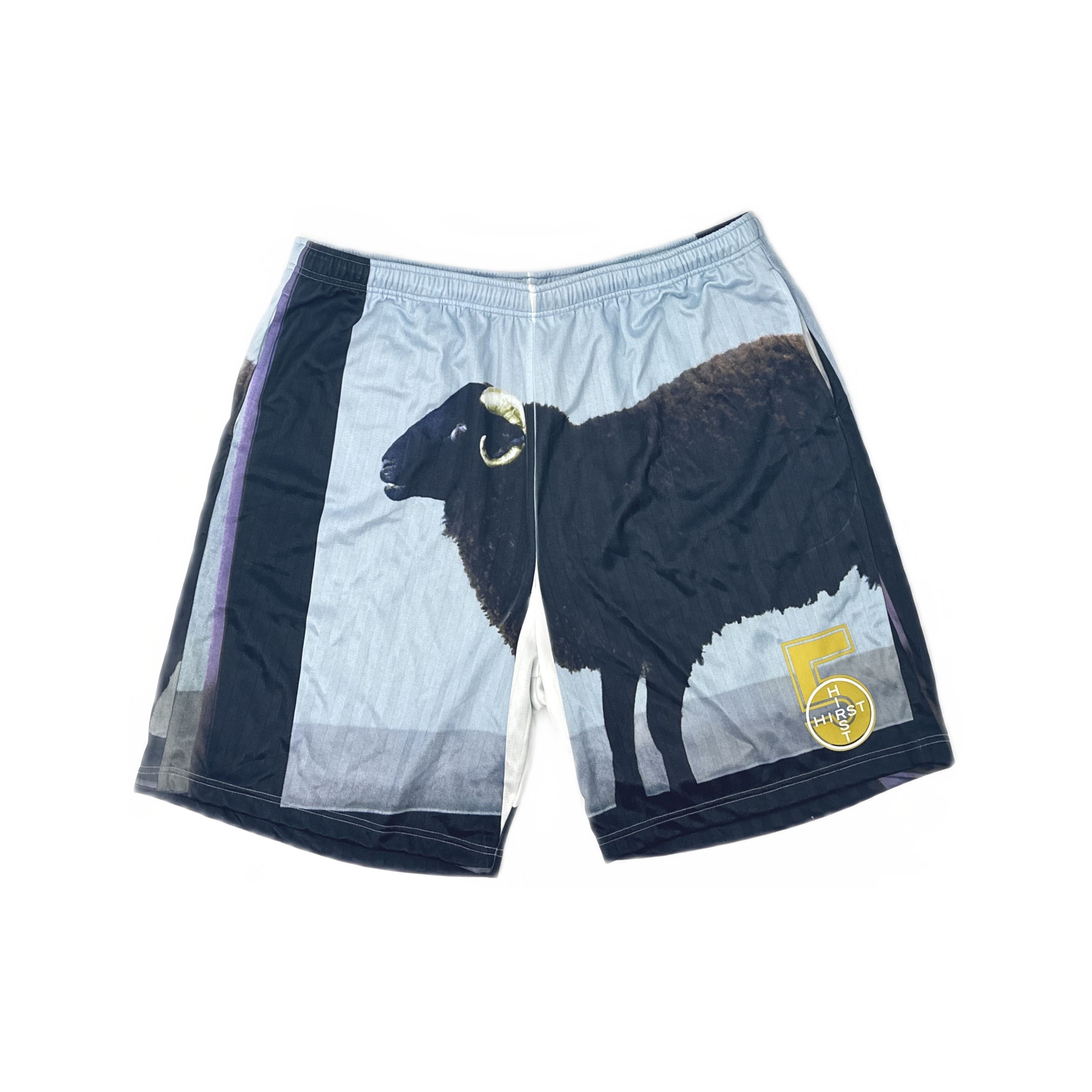 Supreme Supreme Fiji Soccer Shorts | Grailed