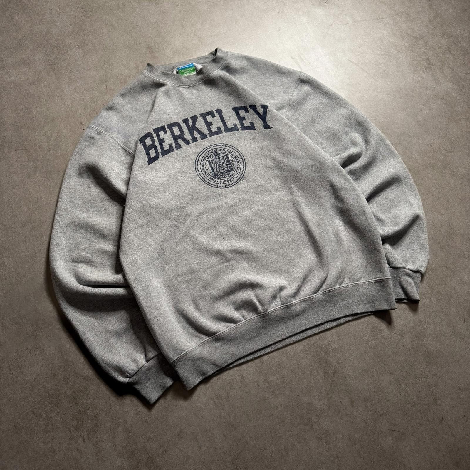 Champion 2000s Champion Eco Fleece Berkeley Grey Sweater - M Size US M / EU 48-50 / 2 - 2 Thumbnail