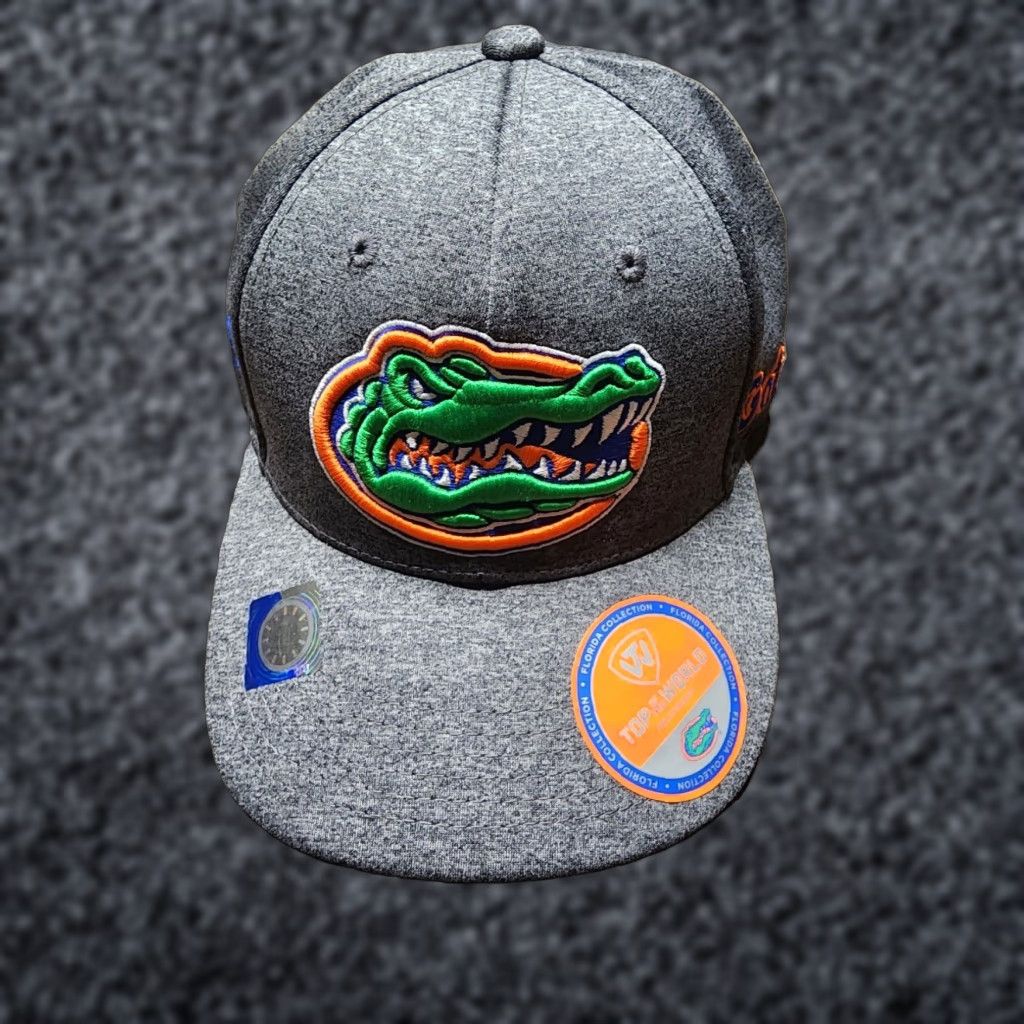 Top Of The World Top of the World Florida Gators Grey Adjustable Dad Cap Hat Mens Gray Size US M / EU 48-50 / 2 - 1 Thumbnail
