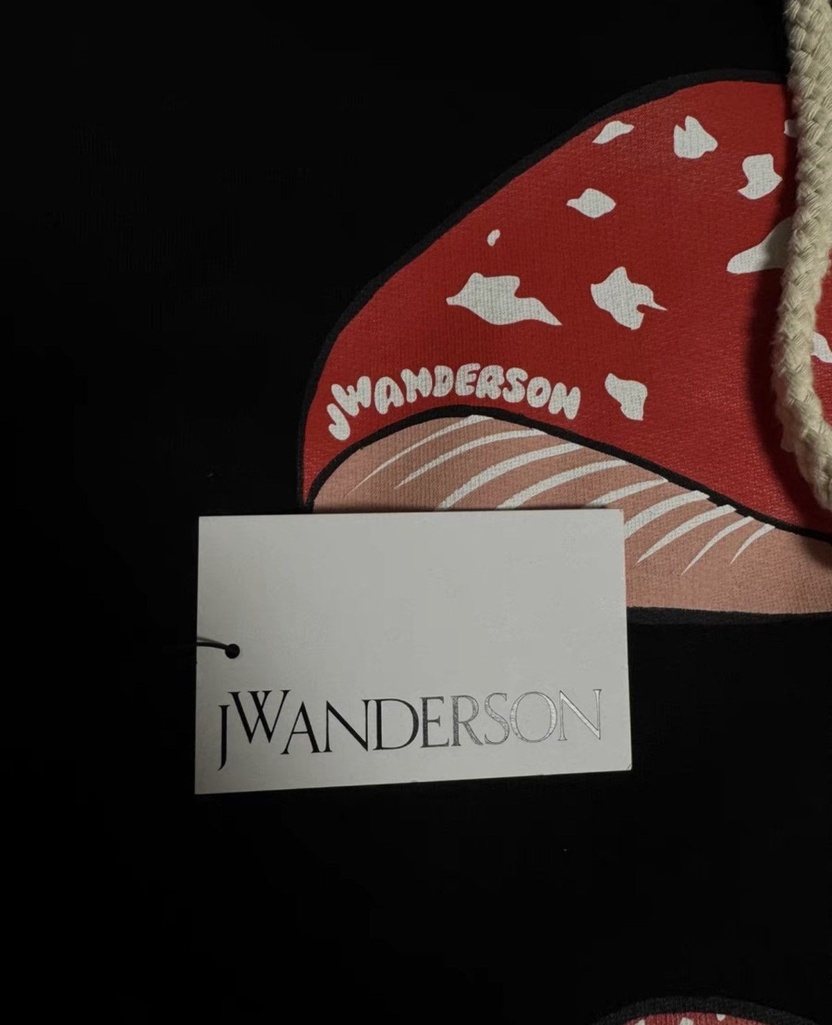 JW Anderson JW Anderson Mushroom Hoodie Size US S / EU 44-46 / 1 - 4 Thumbnail