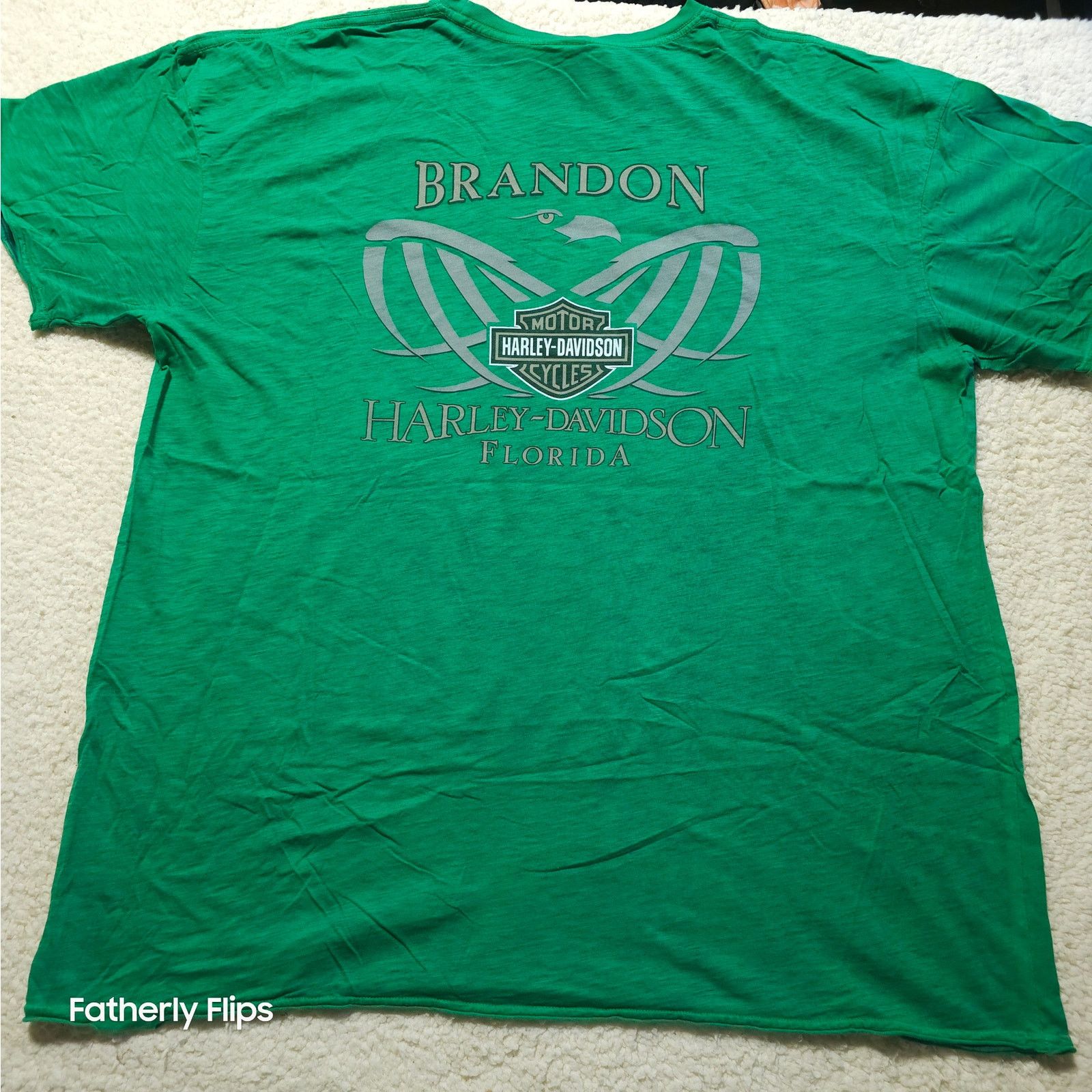 Harley Davidson Harley-Davidson Green Skull Tee 3XL Brandon Florida 2012 Size US XXL / EU 58 / 5 - 8 Thumbnail