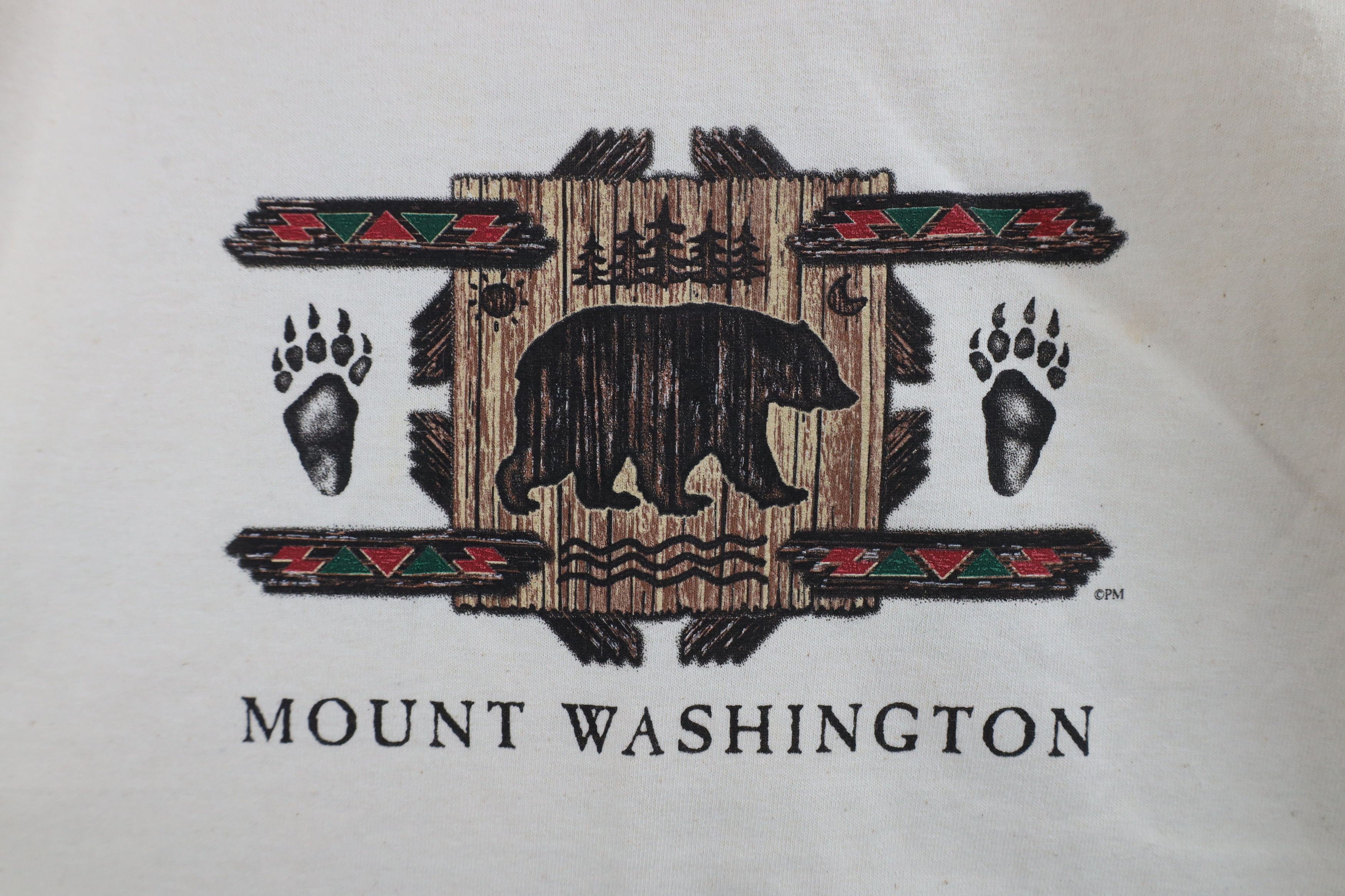 Vintage Deadstock Vintage 90s Streetwear Mount Washington T-Shirt Size US L / EU 52-54 / 3 - 4 Thumbnail