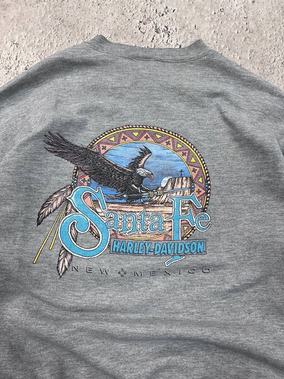 Harley Davidson × Vintage Crazy Vintage 90s Harley Davidson Sweatshirt Heavyweight Size US L / EU 52-54 / 3 - 8 Thumbnail