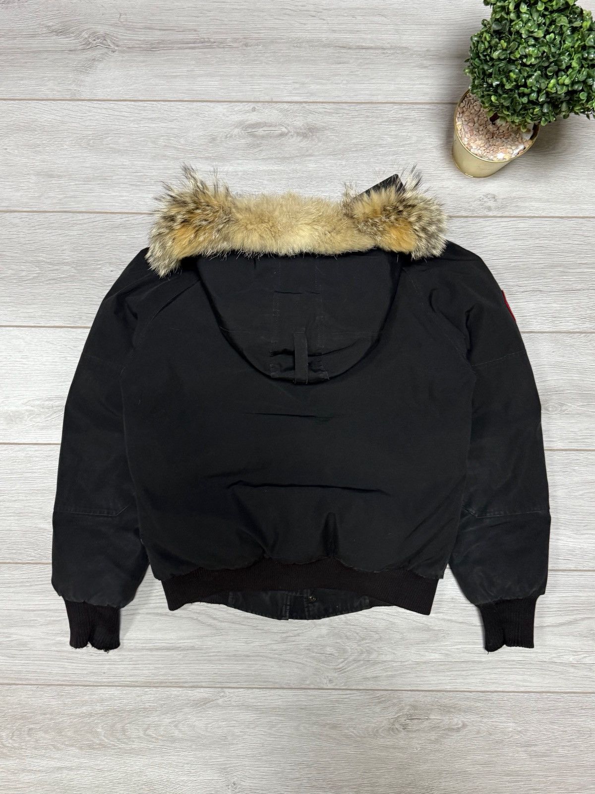 Canada Goose Canada Goose Chilliwack bomber down jacket fur Size US M / EU 48-50 / 2 - 6 Thumbnail