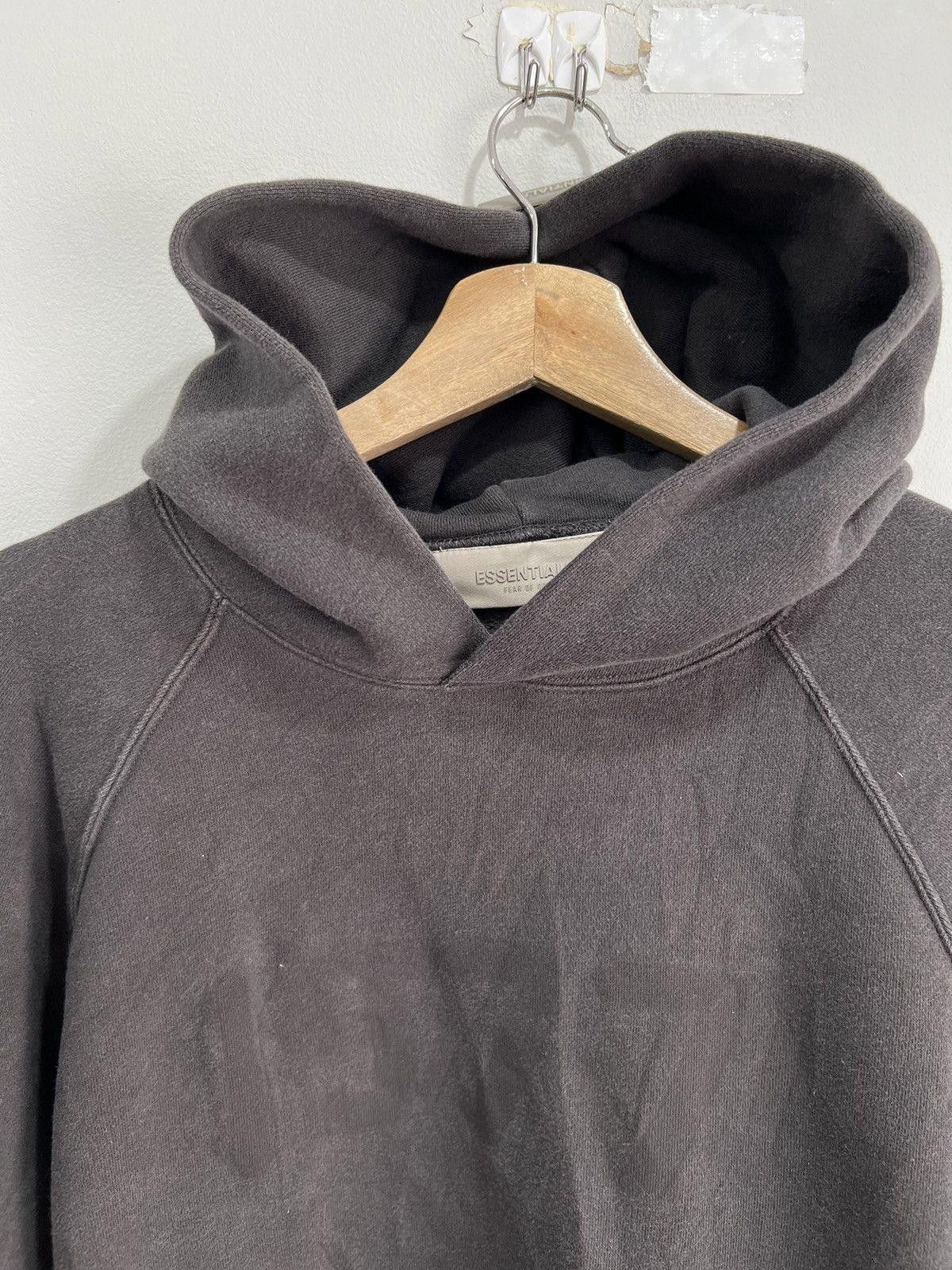 Other Essentials Hoodie Sweater Sweatshirt blank xs Size US XS / EU 42 / 0 - 3 Thumbnail