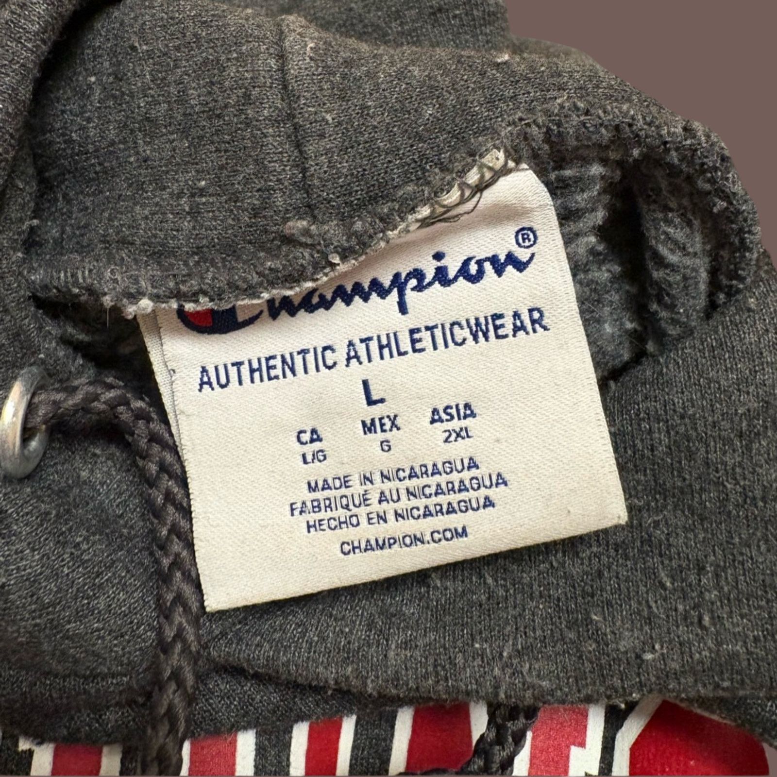 Champion VTG Champion Washington State Charcoal Hoodie Size L Size US L / EU 52-54 / 3 - 4 Thumbnail