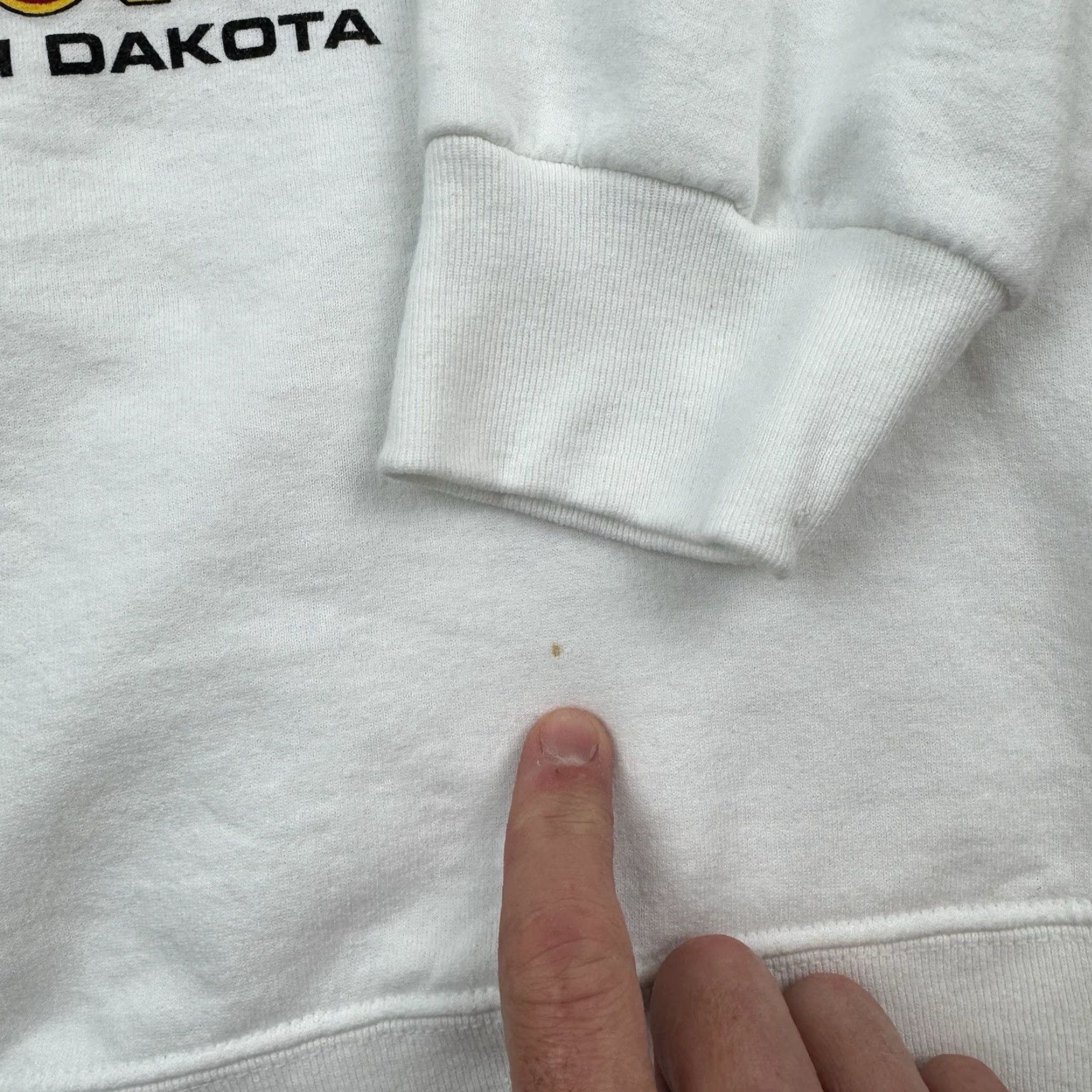 Fruit Of The Loom VINTAGE Fruit of the Loom Sweatshirt Men Large White Nature USA 2005 Y2K Pullover Size US L / EU 52-54 / 3 - 5 Thumbnail