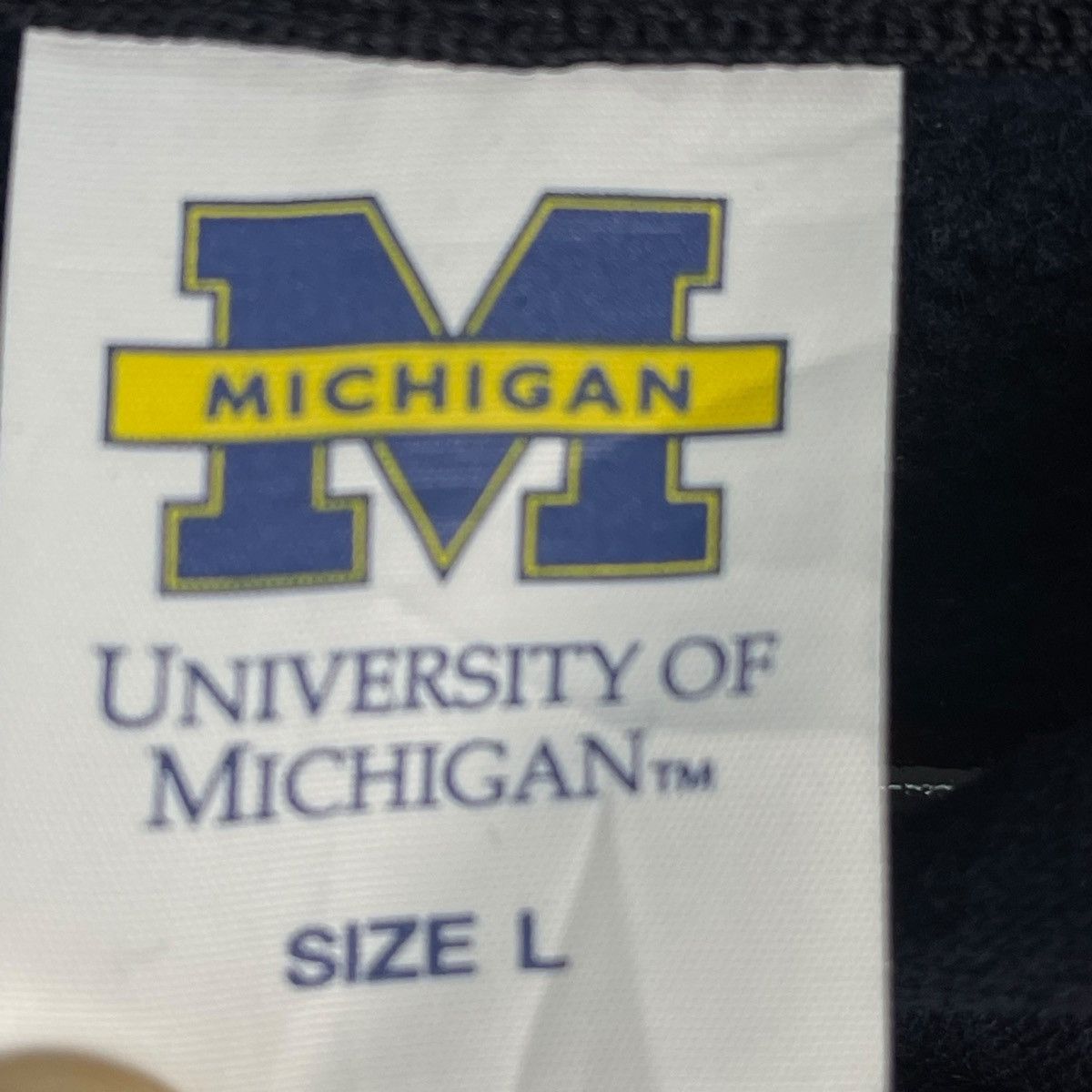 Vintage Vintage University Of Michigan States hoodie Navy Blue Size US L / EU 52-54 / 3 - 5 Thumbnail
