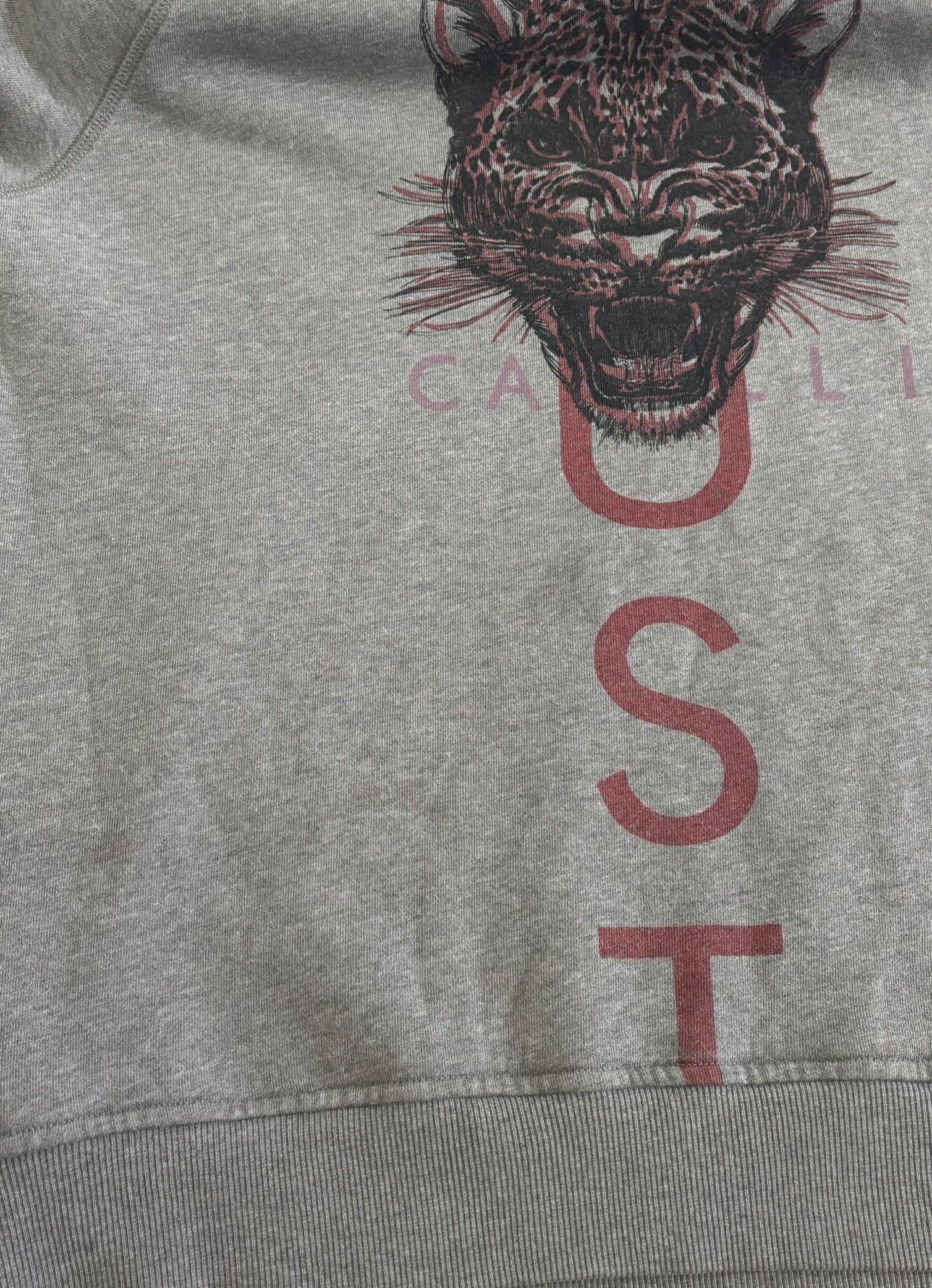Just Cavalli Just Cavalli Gray sweatshirt Extra Large Size US XL / EU 56 / 4 - 8 Thumbnail