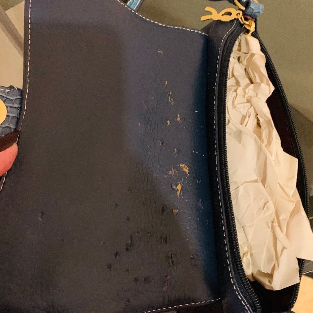 Roberta di Camerino 💲💰SALE💰💲Roberta DiCamerino authentic purse Size ONE SIZE - 4 Thumbnail