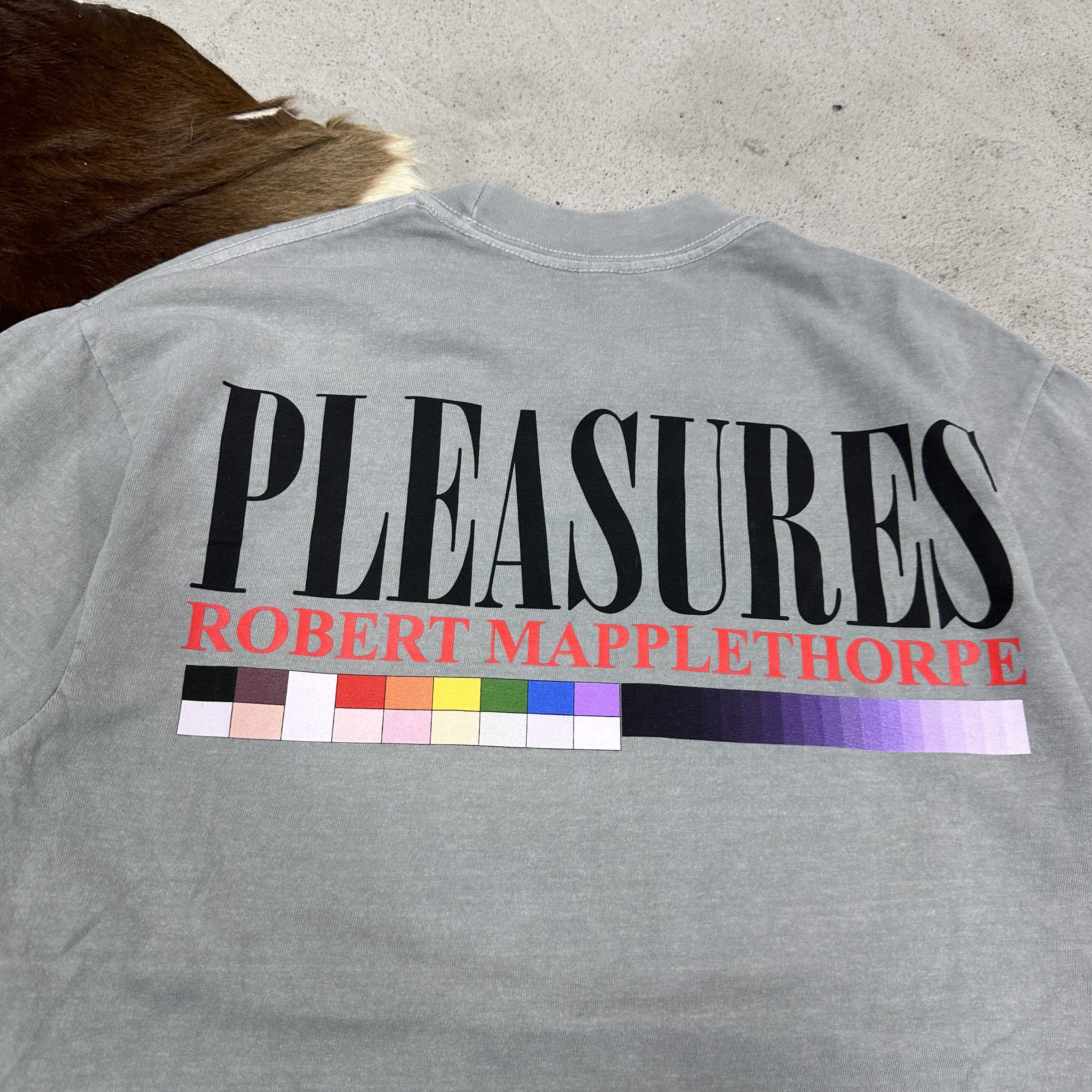 Pleasures Vintage Streetwear Pleasures Robert Mapplethorpe T-shirt 00s Size US S / EU 44-46 / 1 - 5 Thumbnail