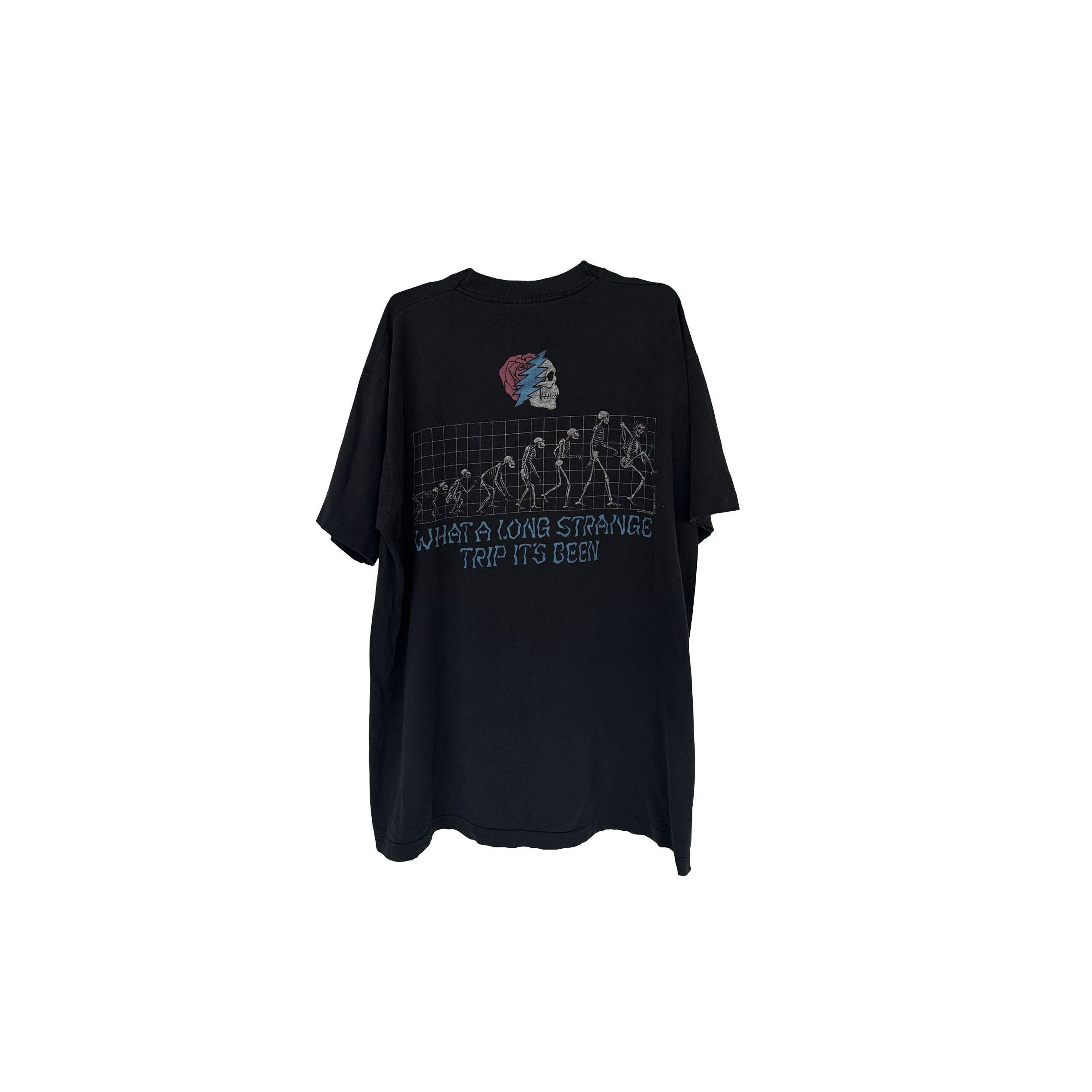 Grateful Dead Strange Trip 1993