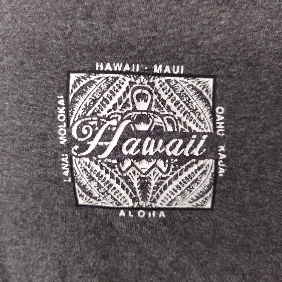 Hanes Hanes Hawaii T Shirt Mens Size Medium Gray Maui Oahu Kauai Aloha Lanai Molokai Tribal Art Crew Neck Short Sleeve 2010-2019 Vintage No Size US M / EU 48-50 / 2 - 3 Thumbnail
